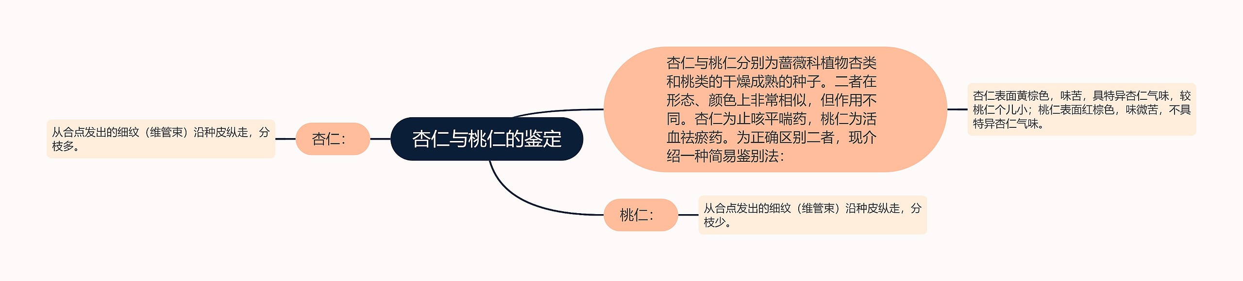 杏仁与桃仁的鉴定思维导图