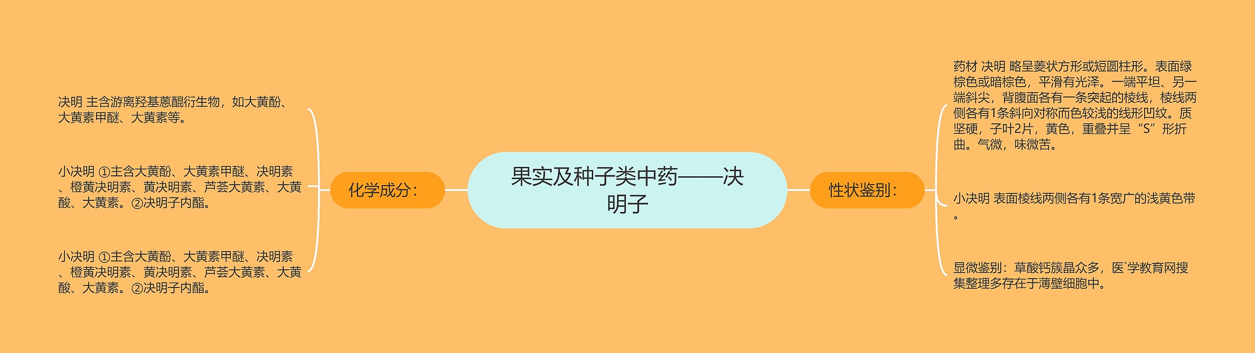 果实及种子类中药——决明子 果实及种子类中药——决明子