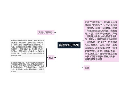 真假大风子识别