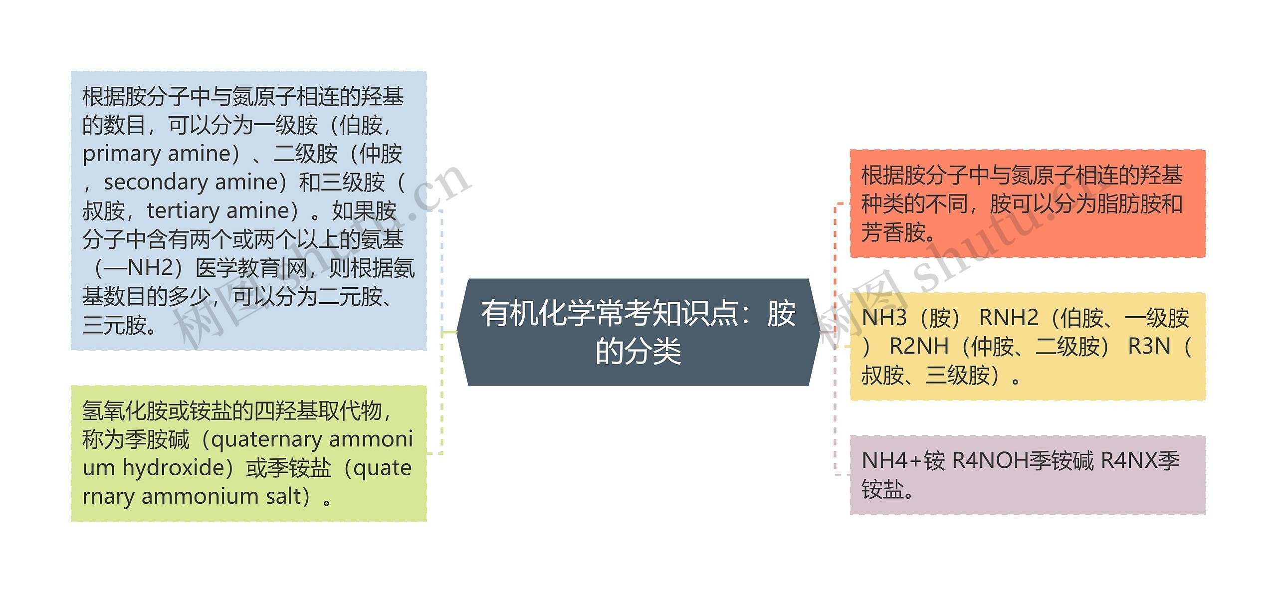 有机化学常考知识点：胺的分类