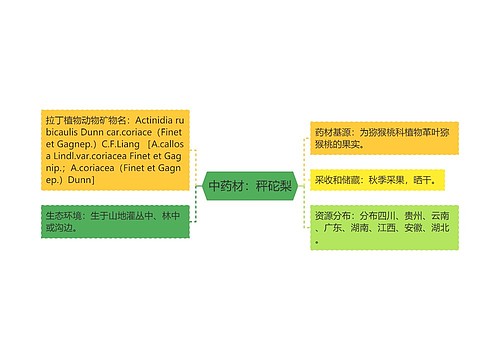 中药材：秤砣梨