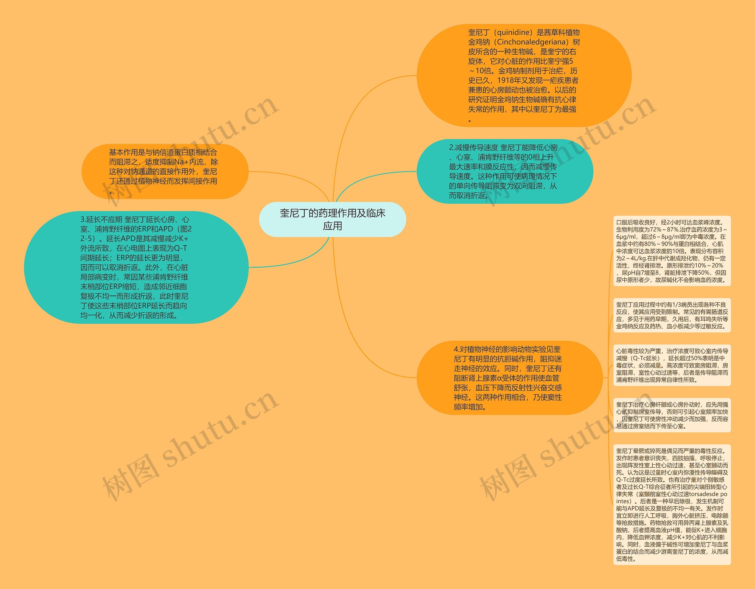 奎尼丁的药理作用及临床应用思维导图