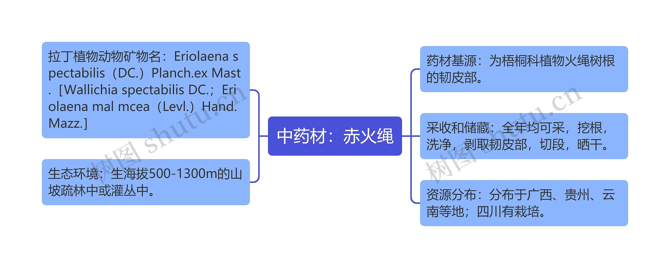 中药材：赤火绳思维导图