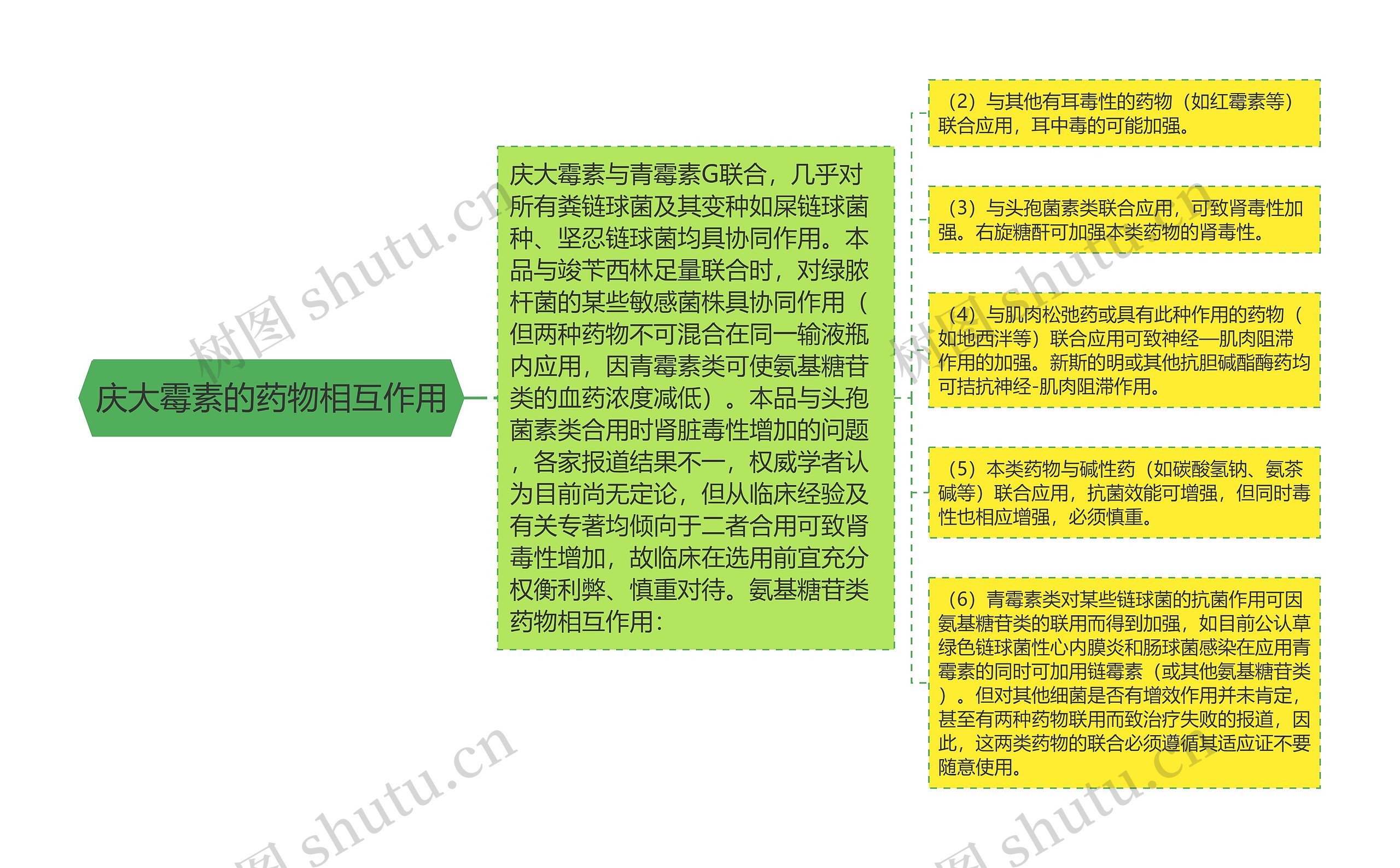 庆大霉素的药物相互作用思维导图