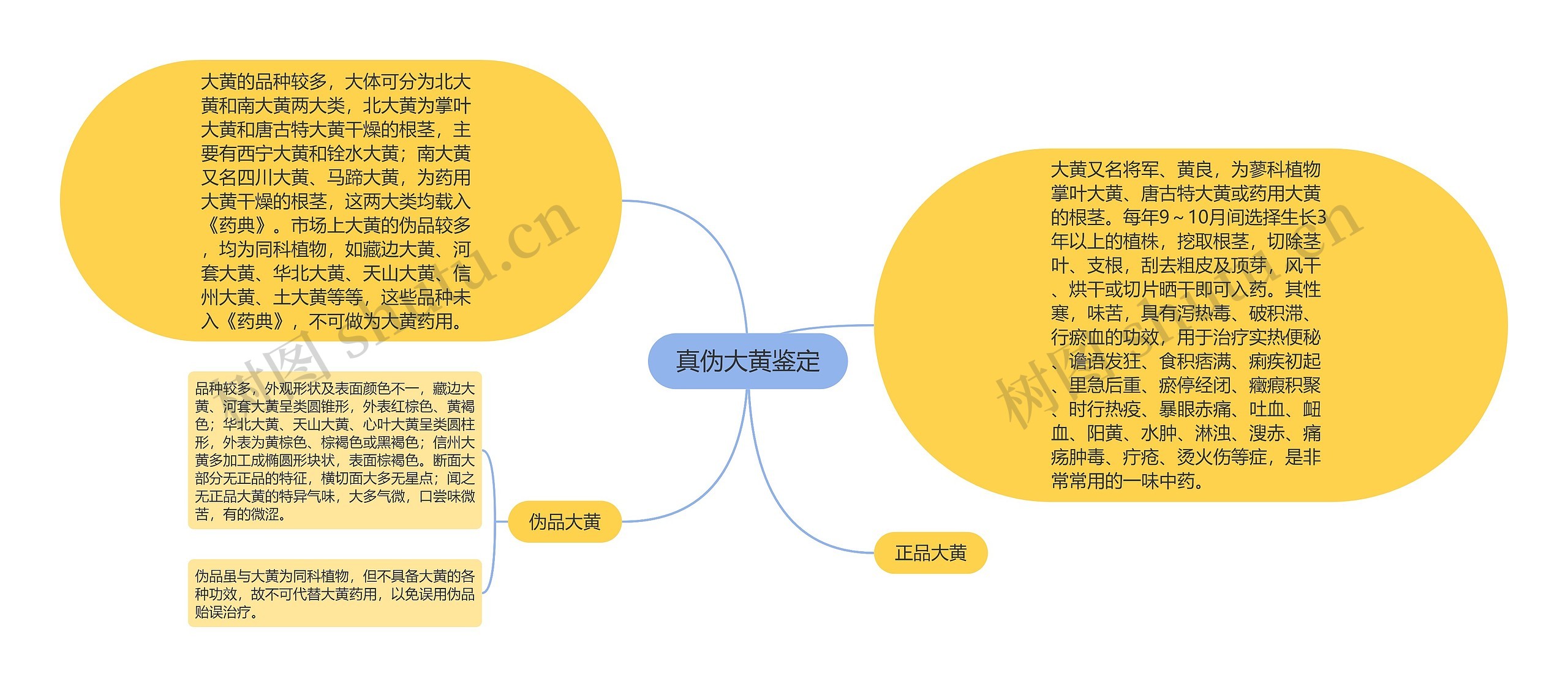 真伪大黄鉴定思维导图