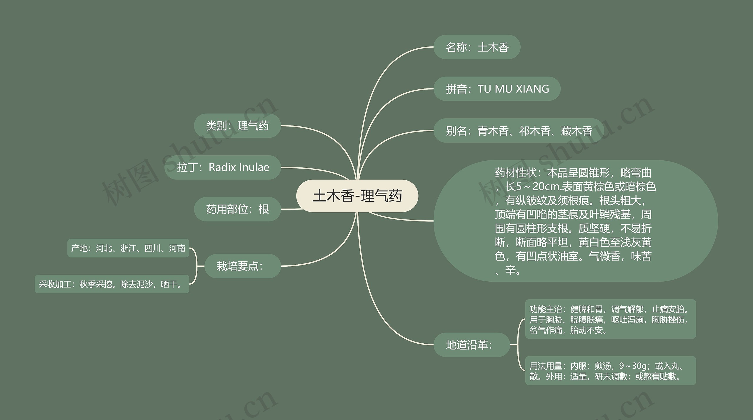 土木香-理气药思维导图