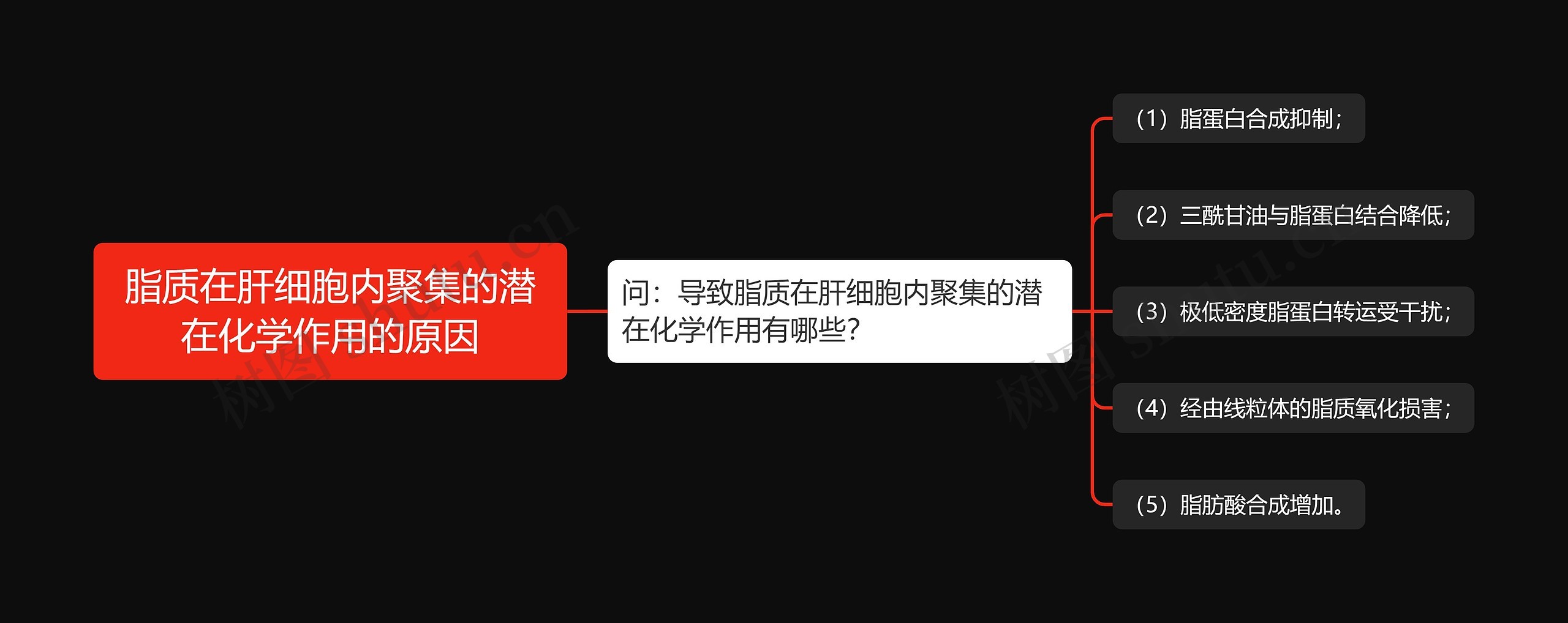 脂质在肝细胞内聚集的潜在化学作用的原因 脂质在肝细胞内聚集的潜在化学作用的原因
