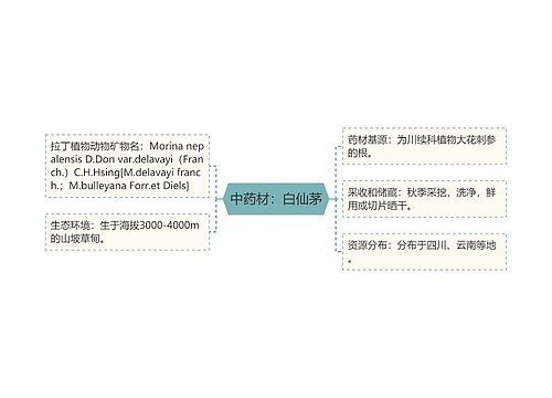 中药材：白仙茅