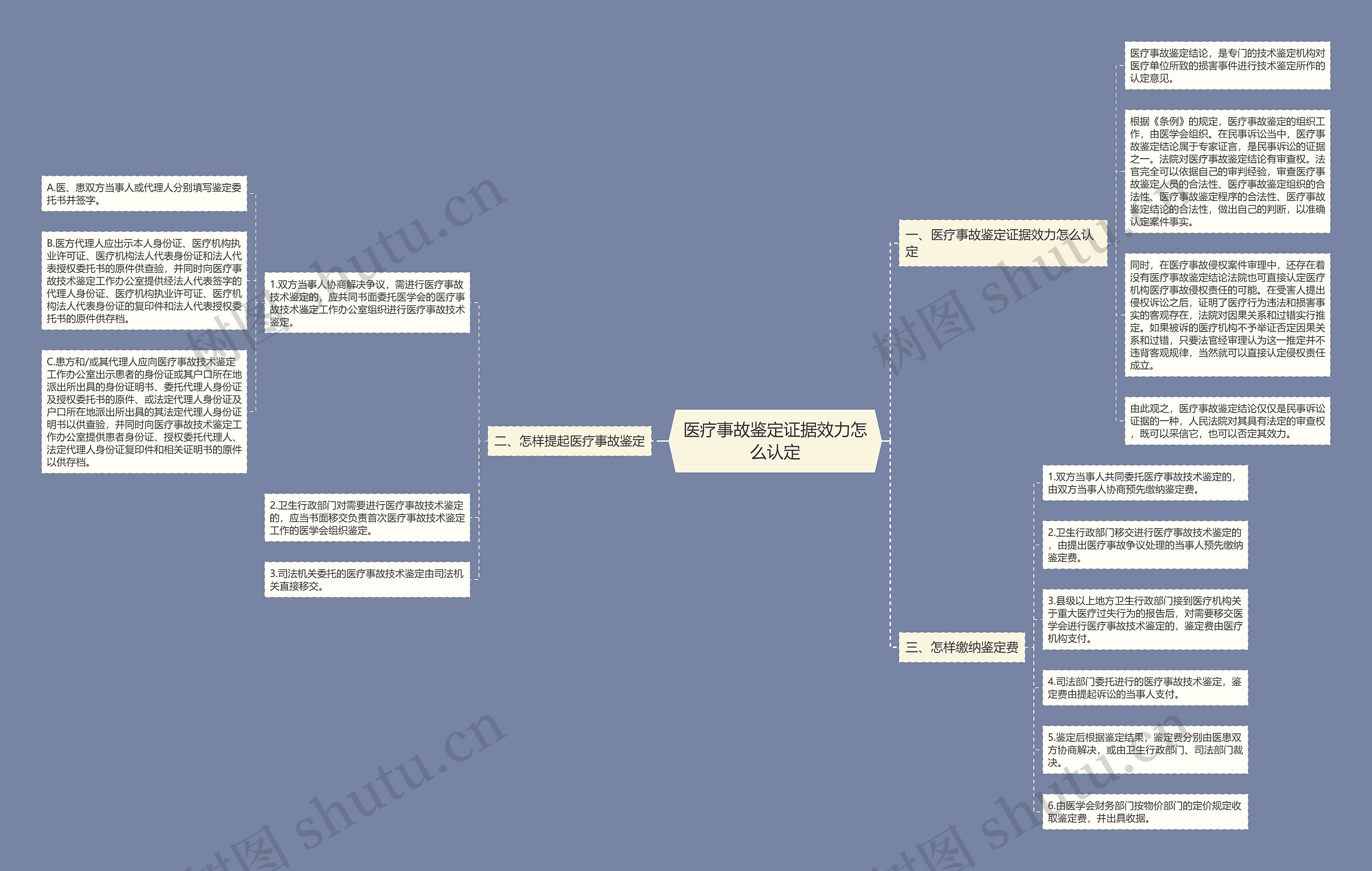 医疗事故鉴定证据效力怎么认定思维导图