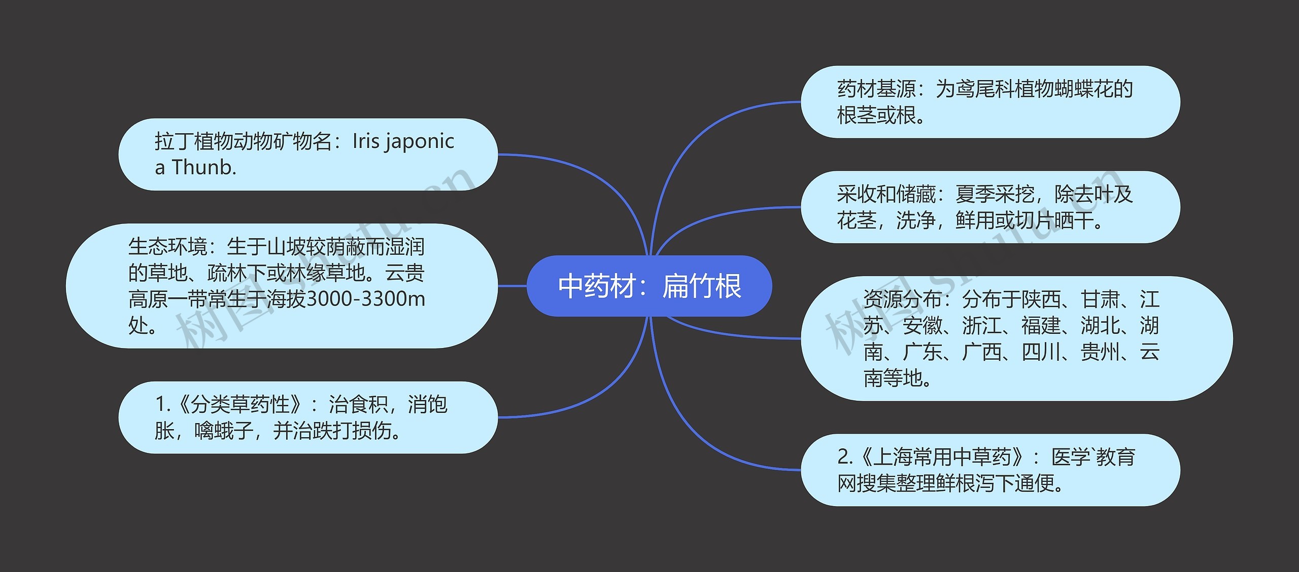 中药材：扁竹根思维导图