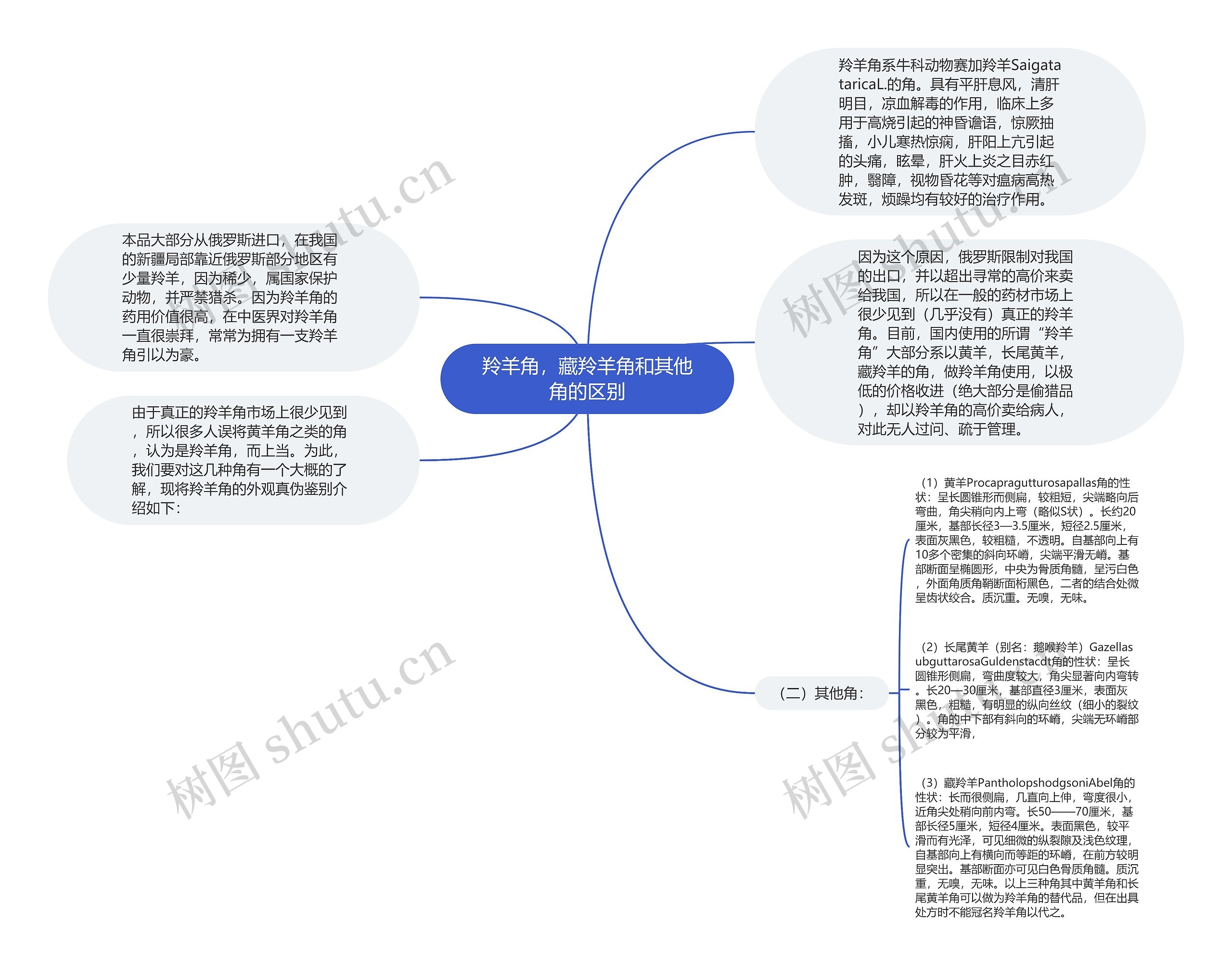 羚羊角，藏羚羊角和其他角的区别思维导图