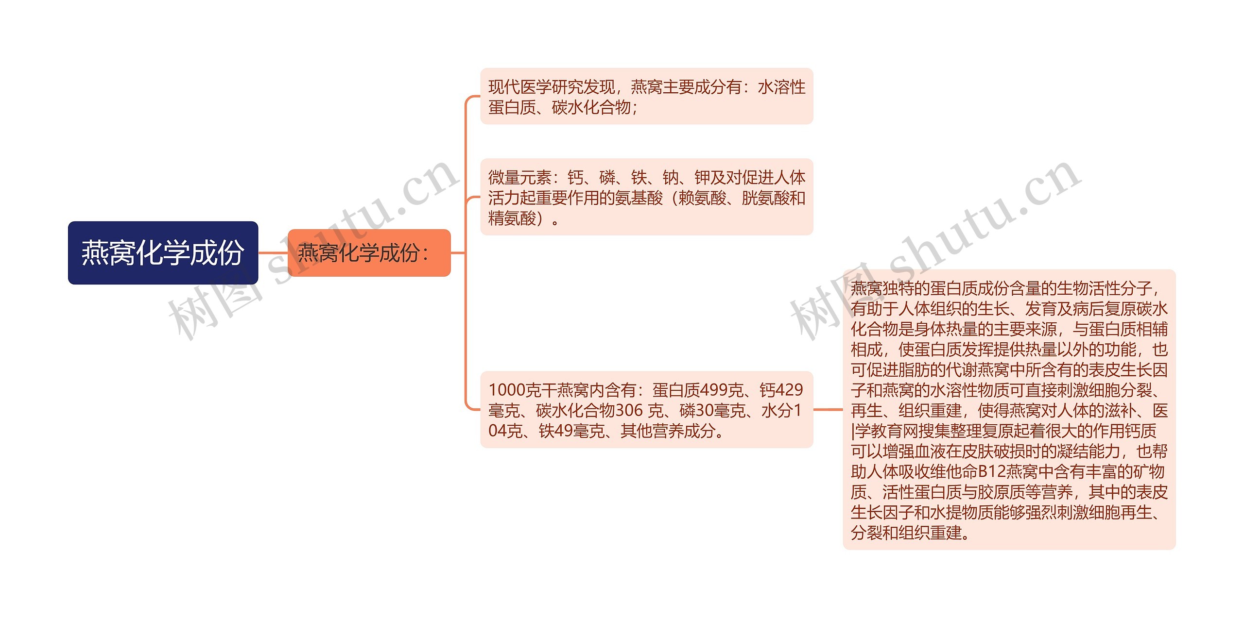 燕窝化学成份思维导图