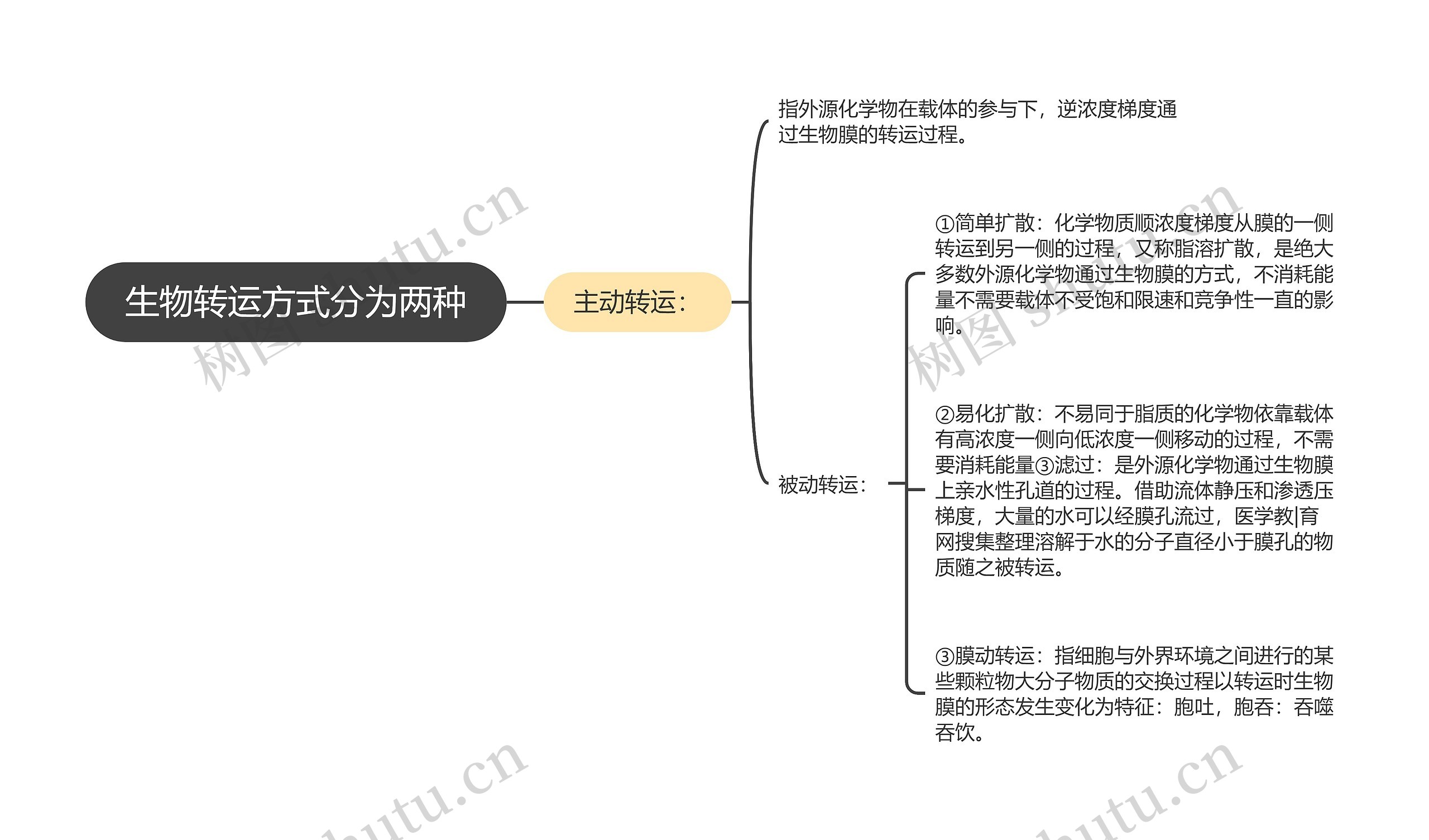 生物转运方式分为两种思维导图