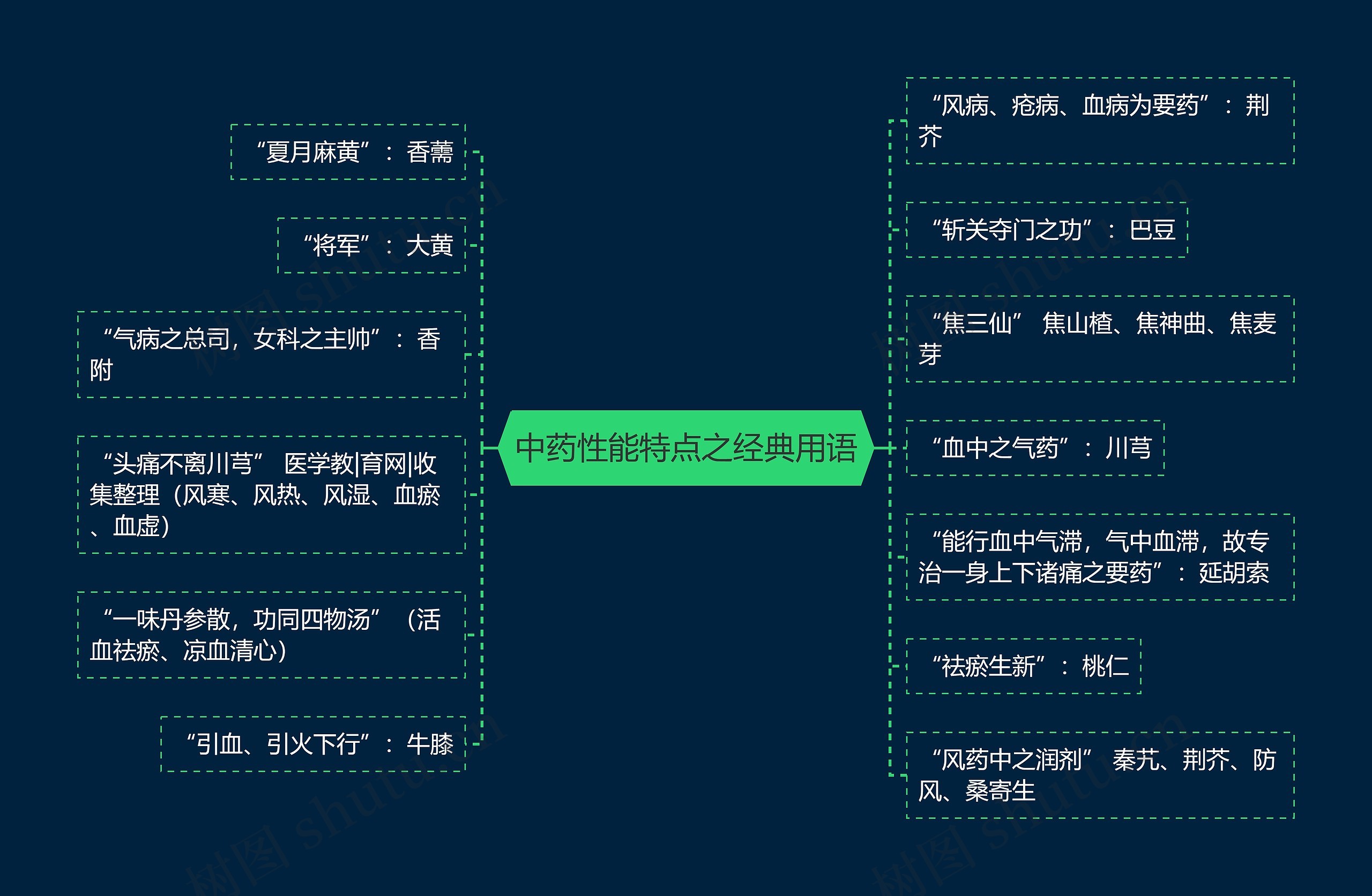 中药性能特点之经典用语思维导图