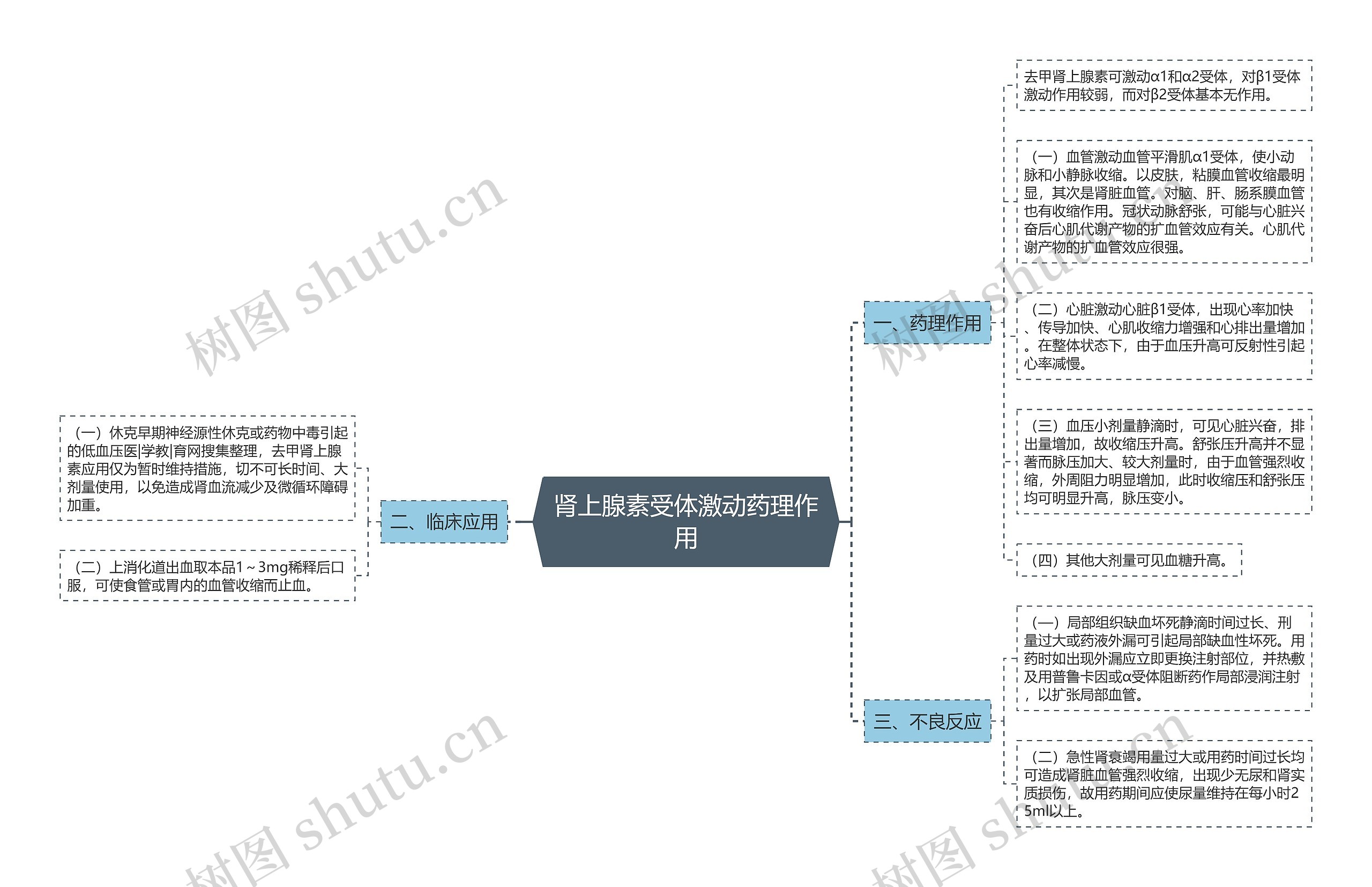 肾上腺素受体激动药理作用思维导图