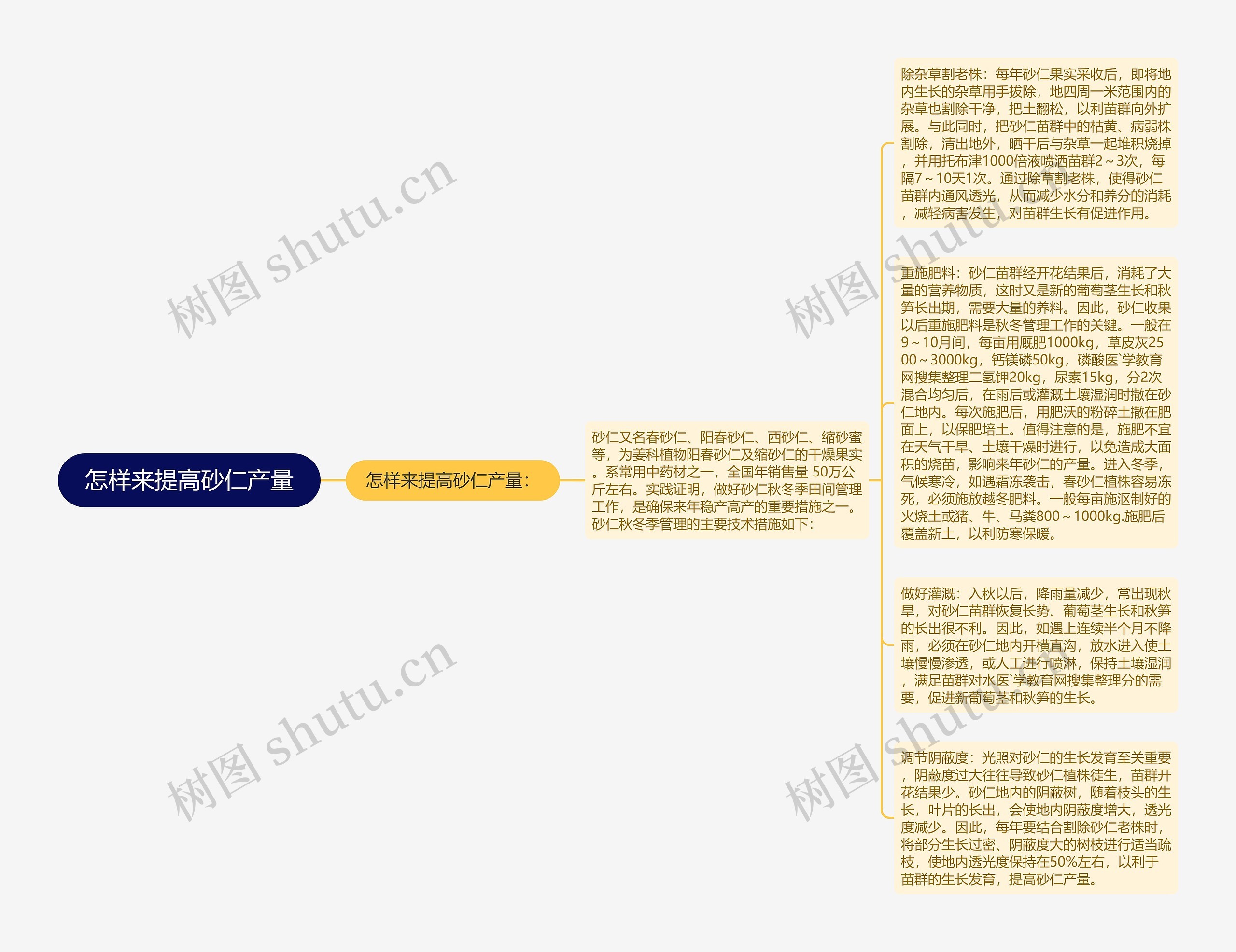 怎样来提高砂仁产量思维导图