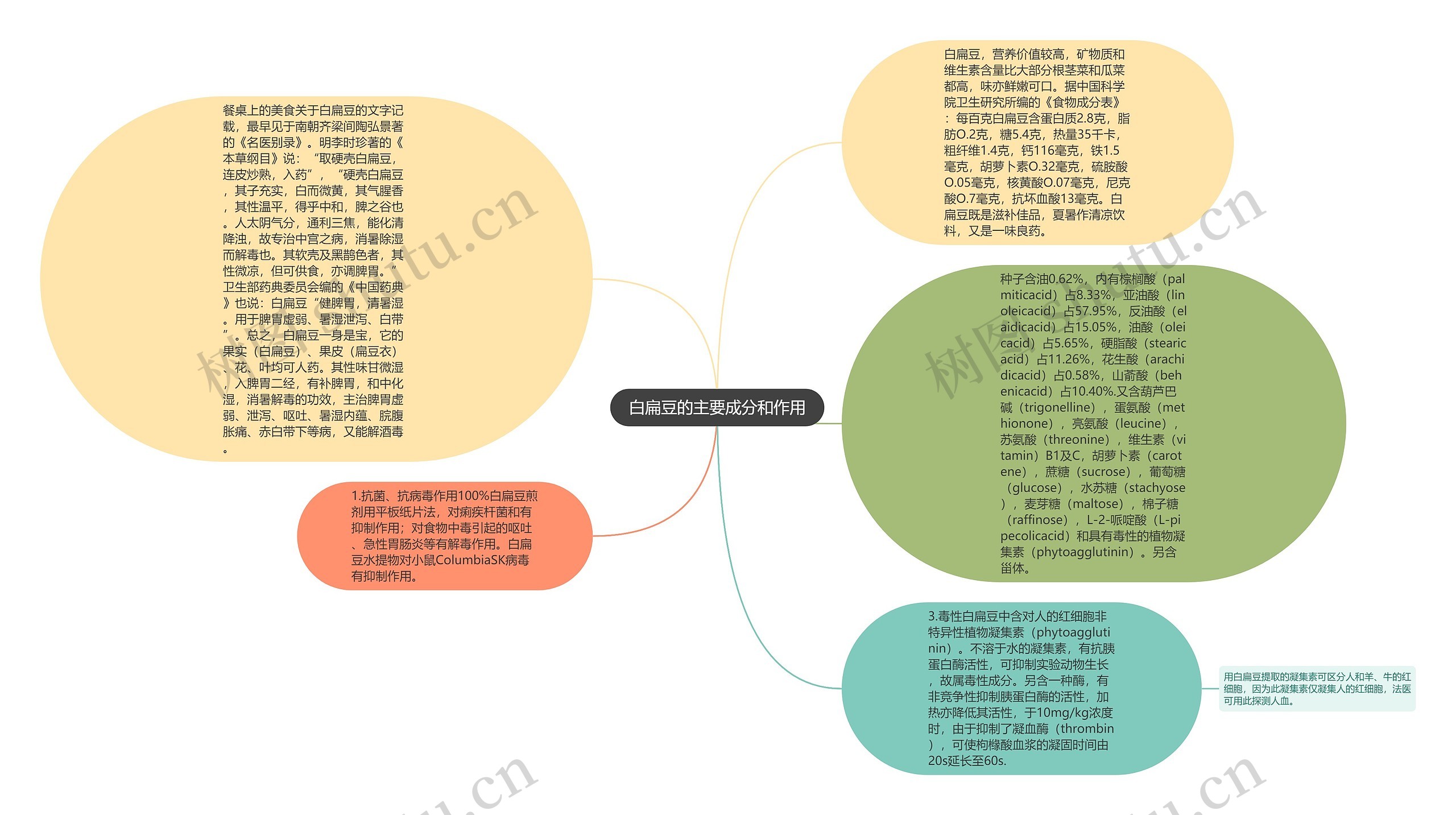 白扁豆的主要成分和作用思维导图