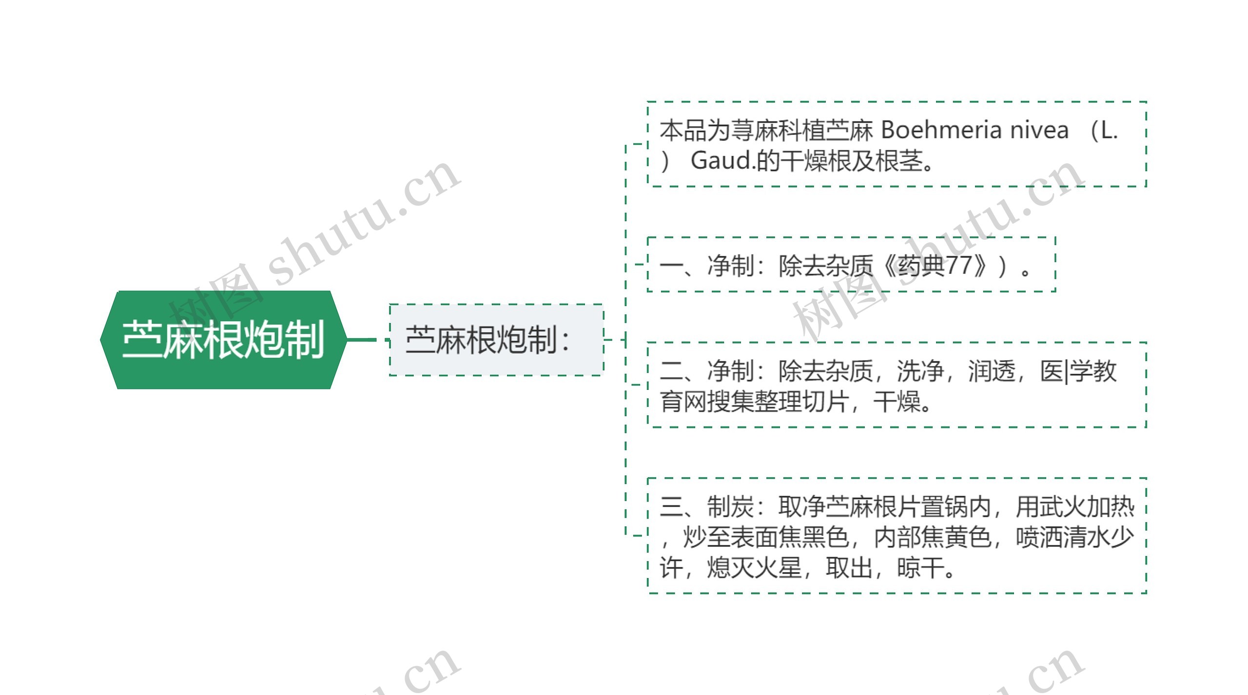 苎麻根炮制思维导图