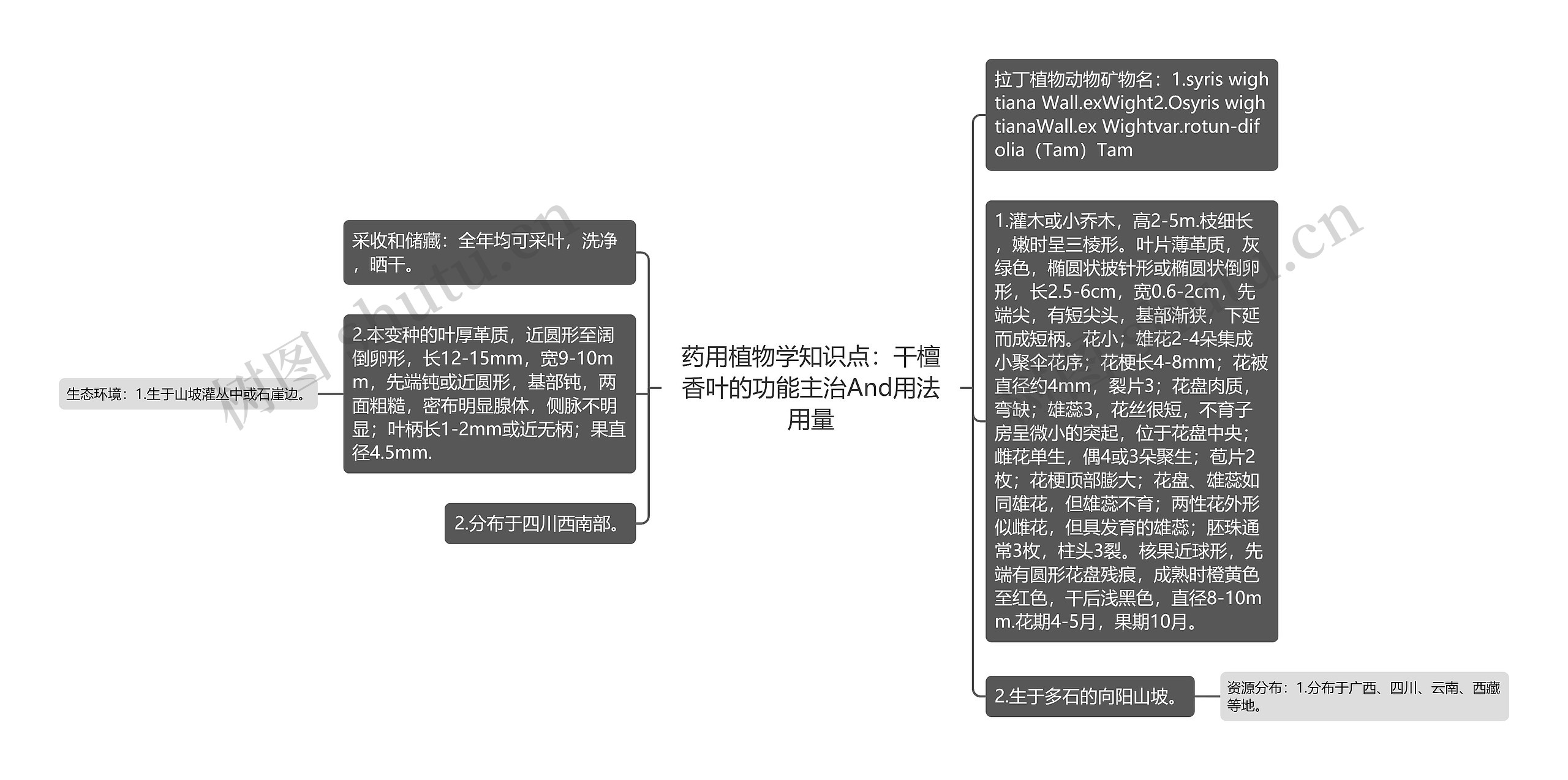 药用植物学知识点：干檀香叶的功能主治And用法用量思维导图