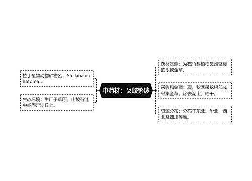 中药材：叉歧繁缕