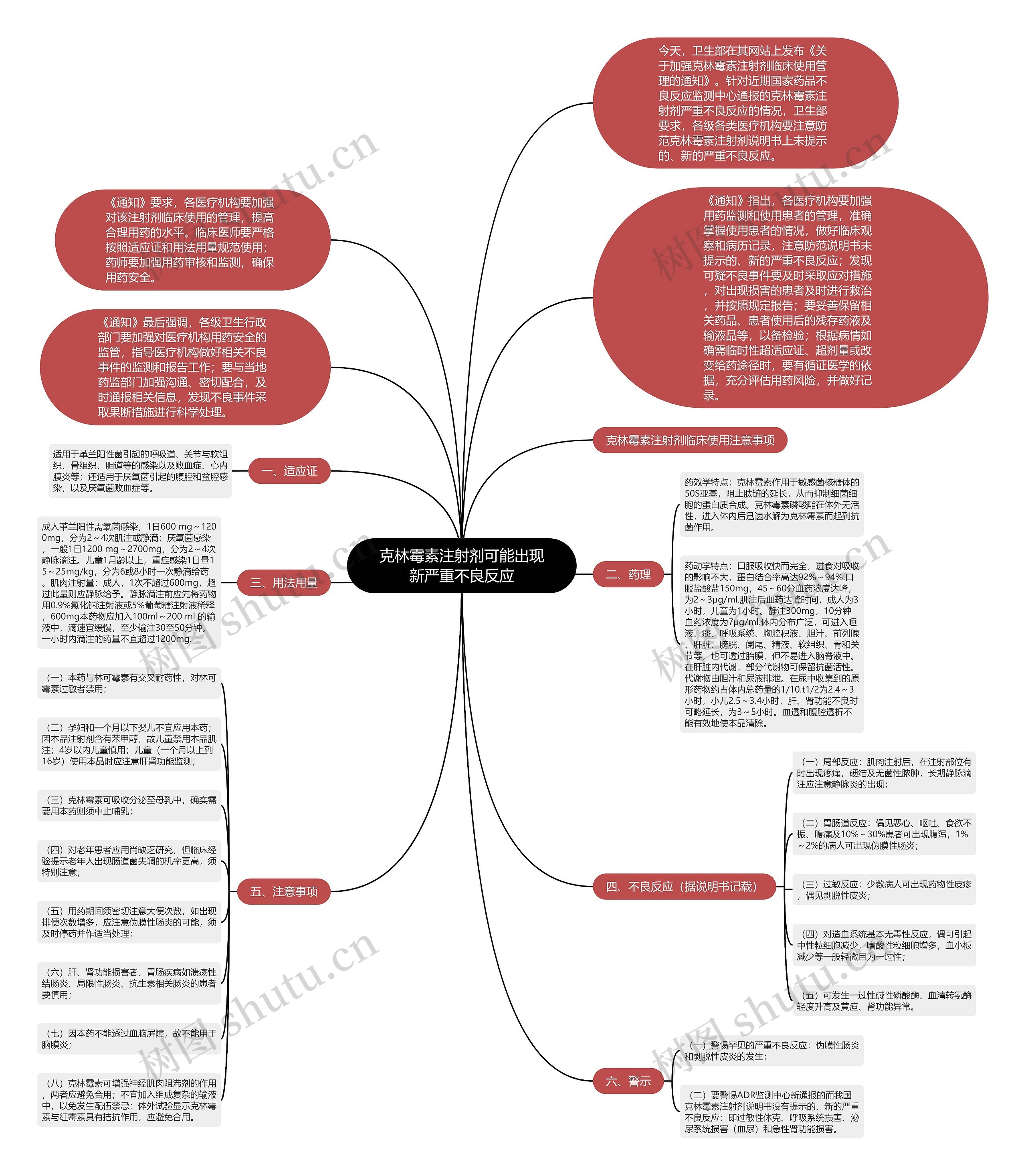 克林霉素注射剂可能出现新严重不良反应思维导图