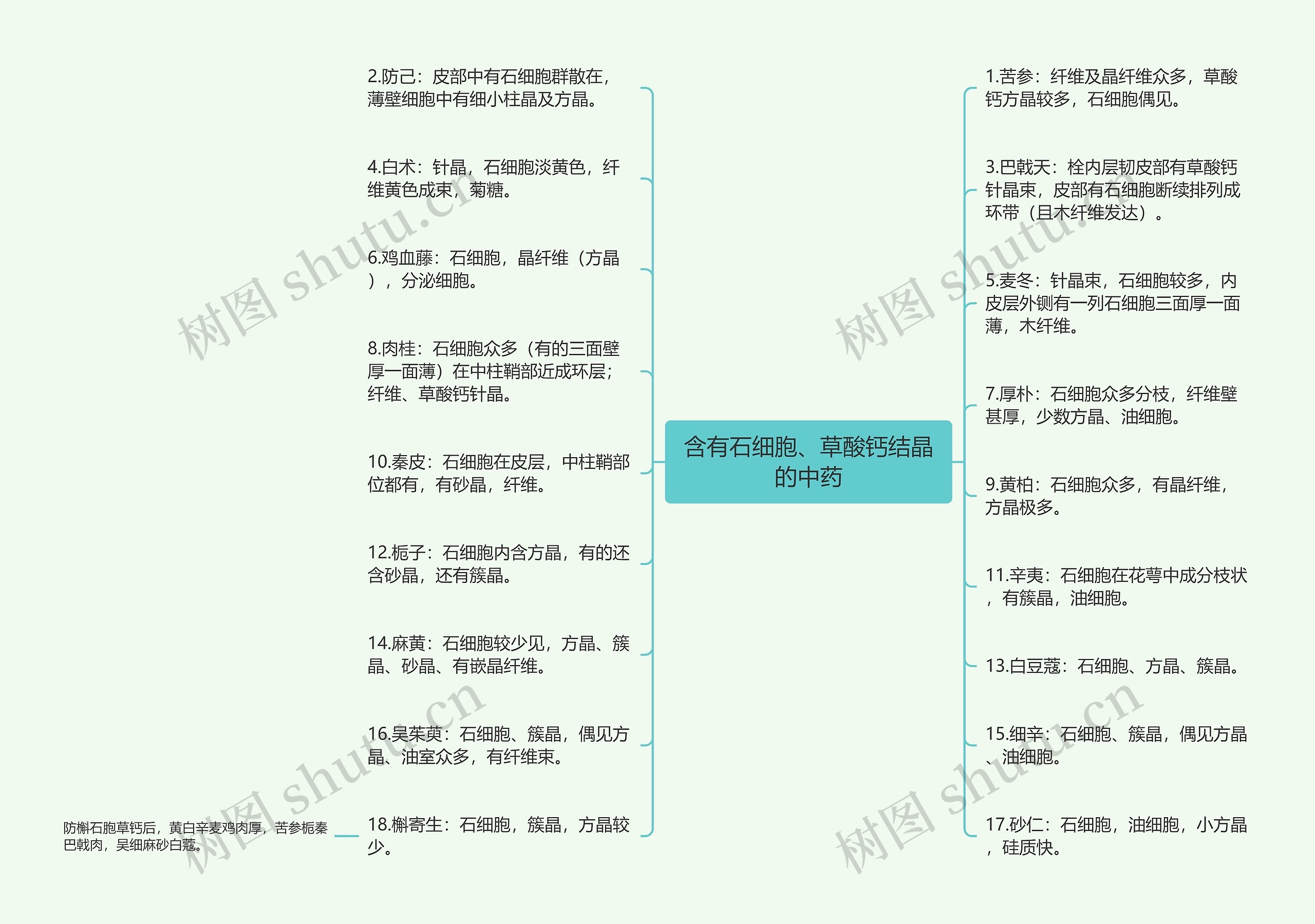 含有石细胞、草酸钙结晶的中药思维导图