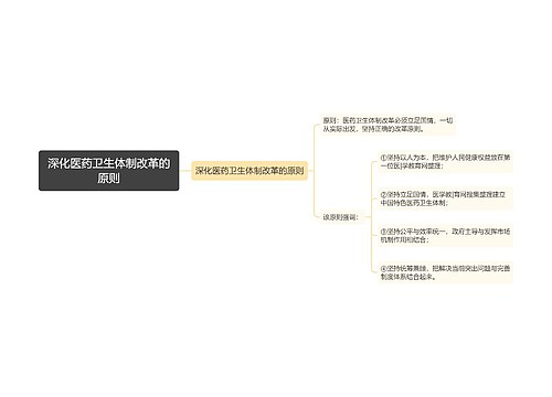 深化医药卫生体制改革的原则