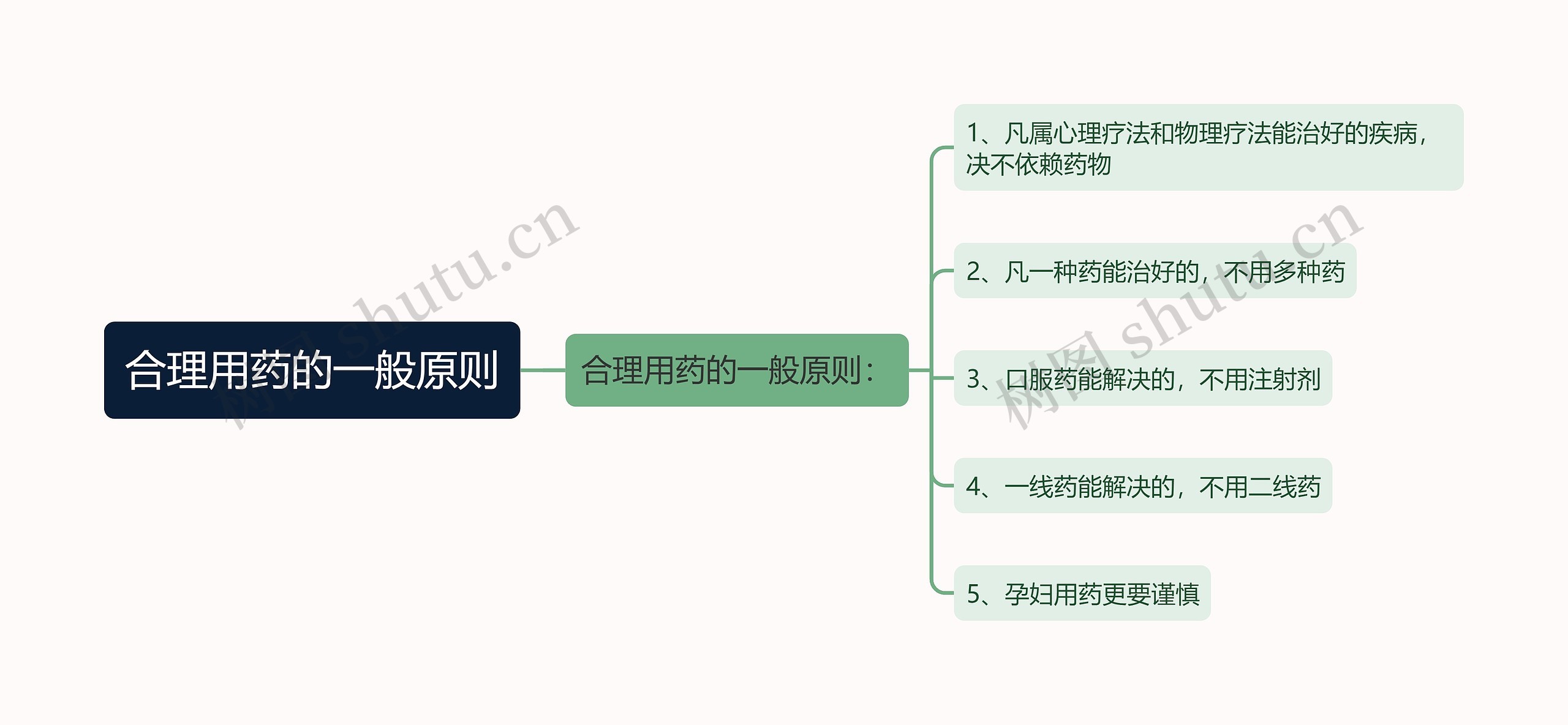 合理用药的一般原则思维导图