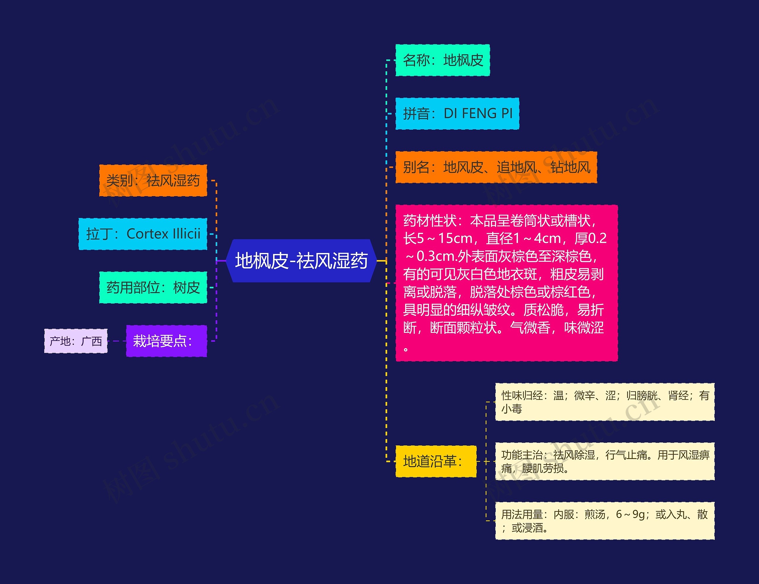 地枫皮-祛风湿药 地枫皮-祛风湿药