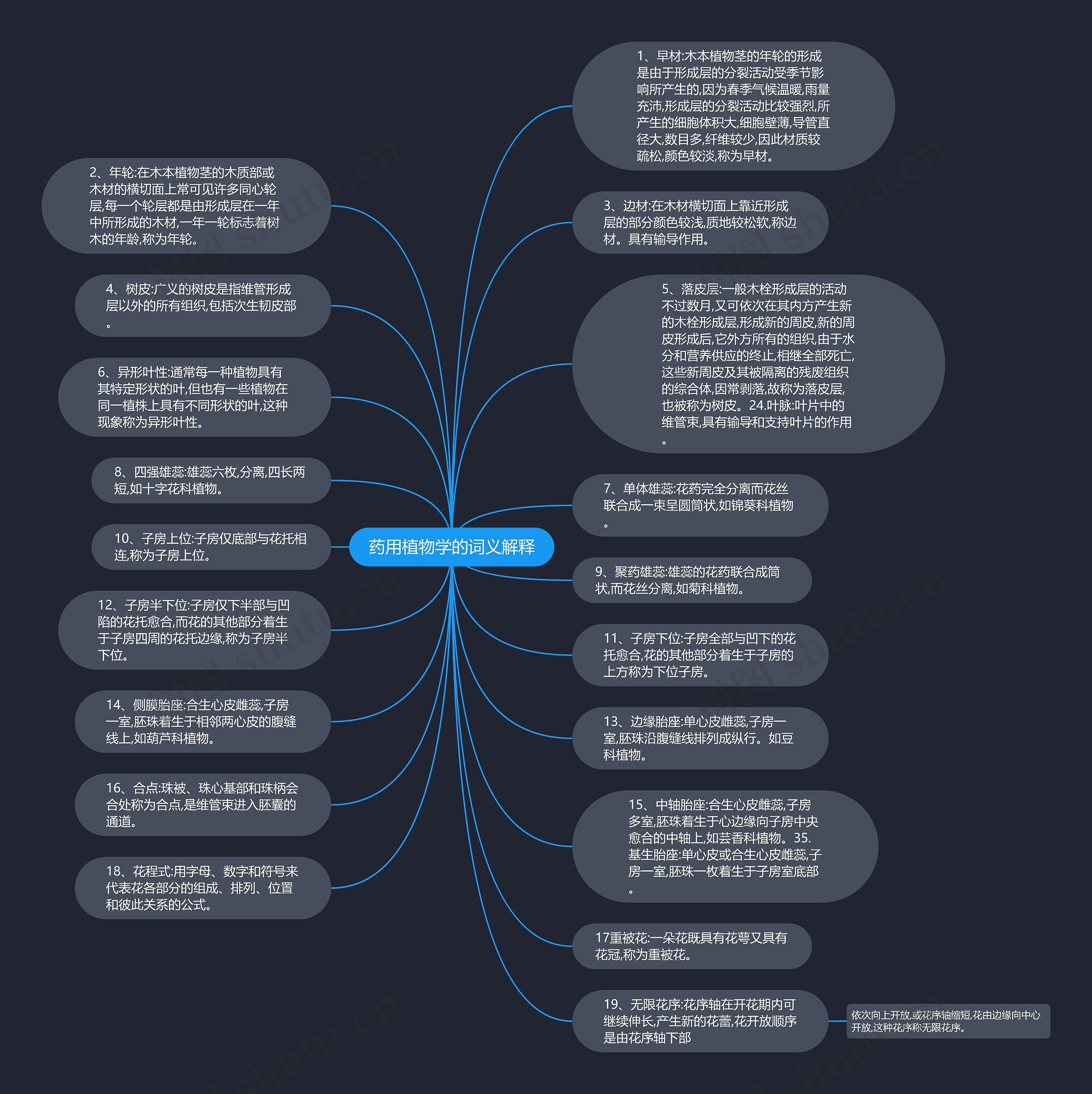 药用植物学的词义解释思维导图