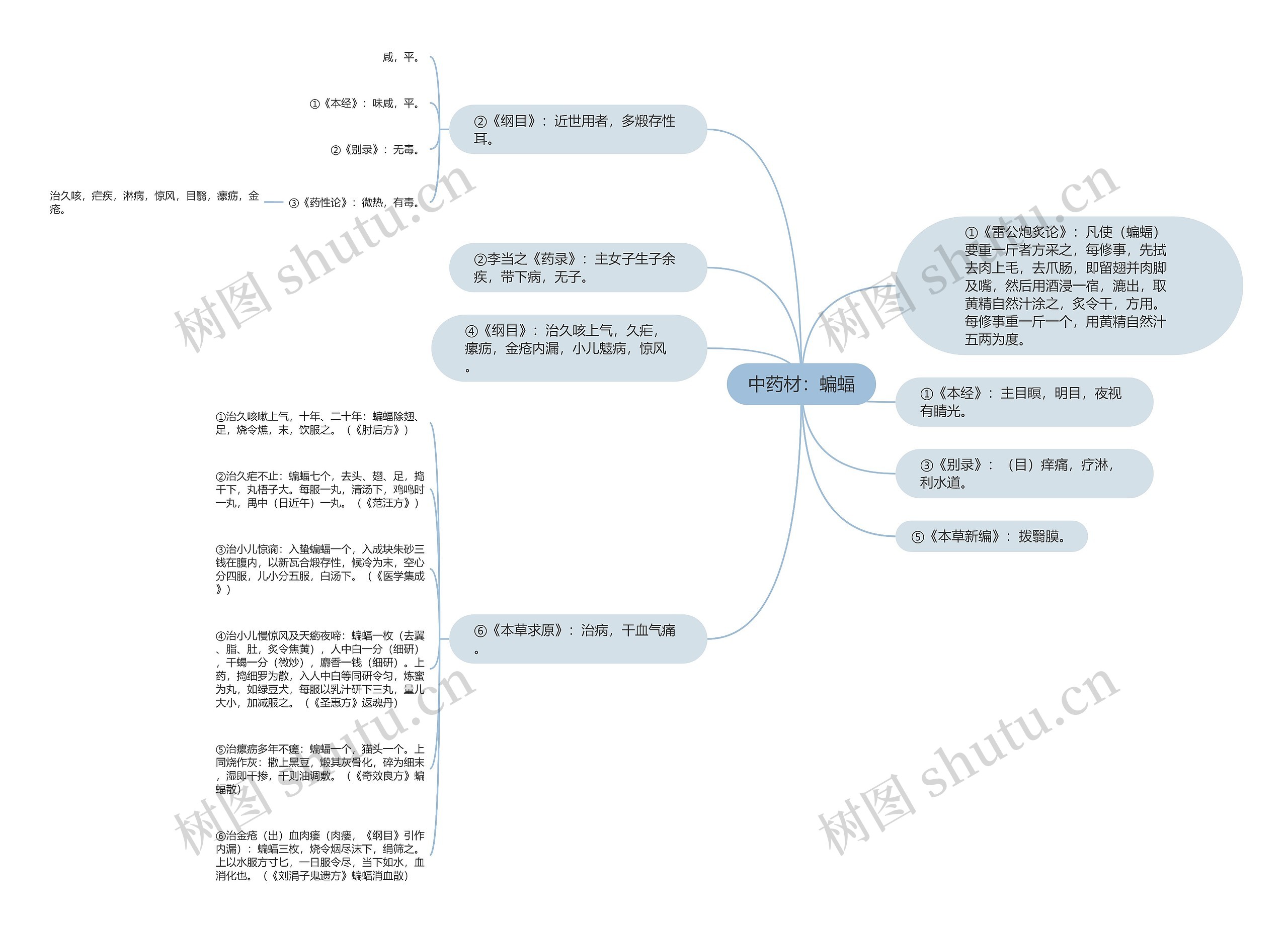 中药材：蝙蝠思维导图