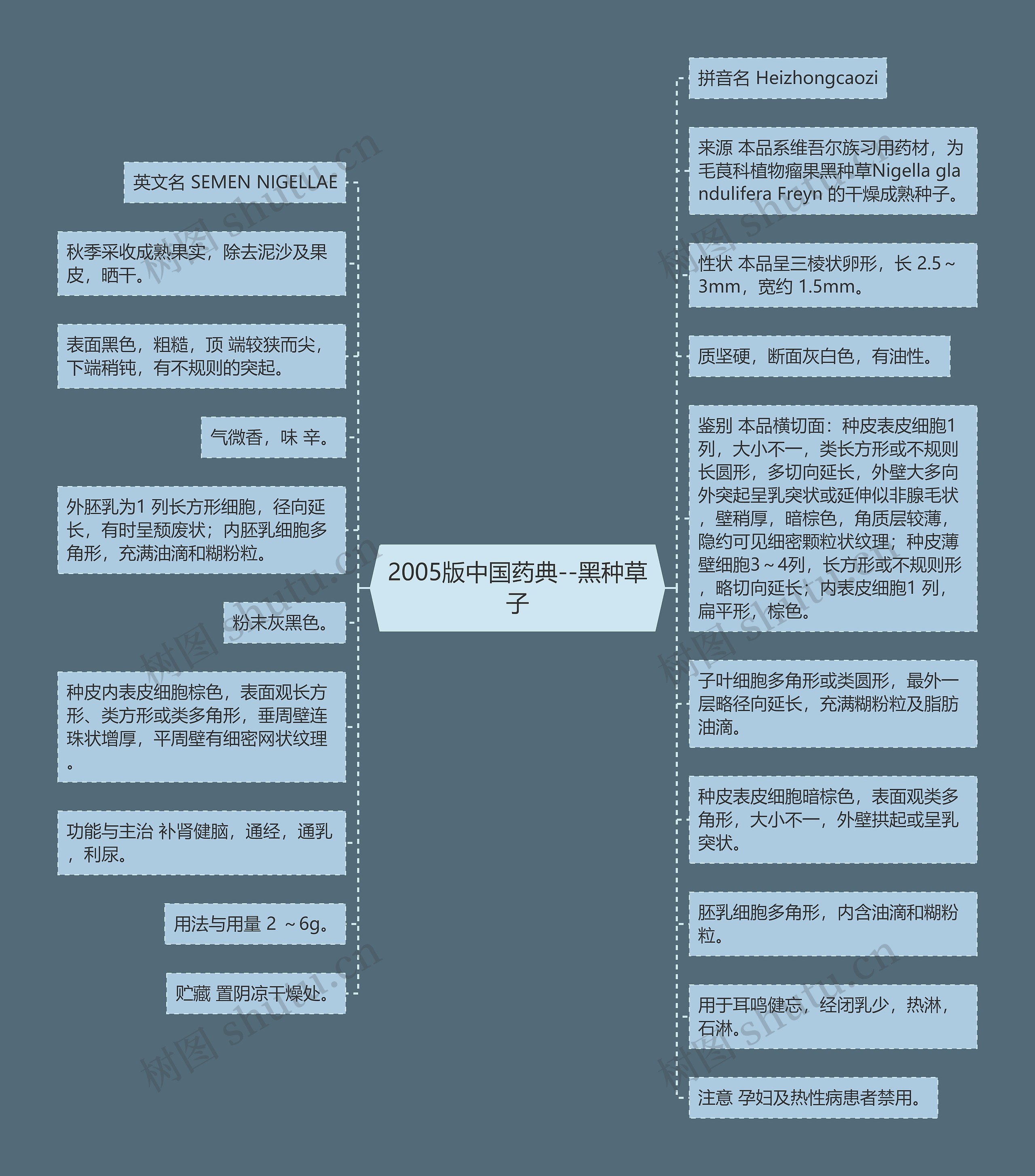 2005版中国药典--黑种草子思维导图