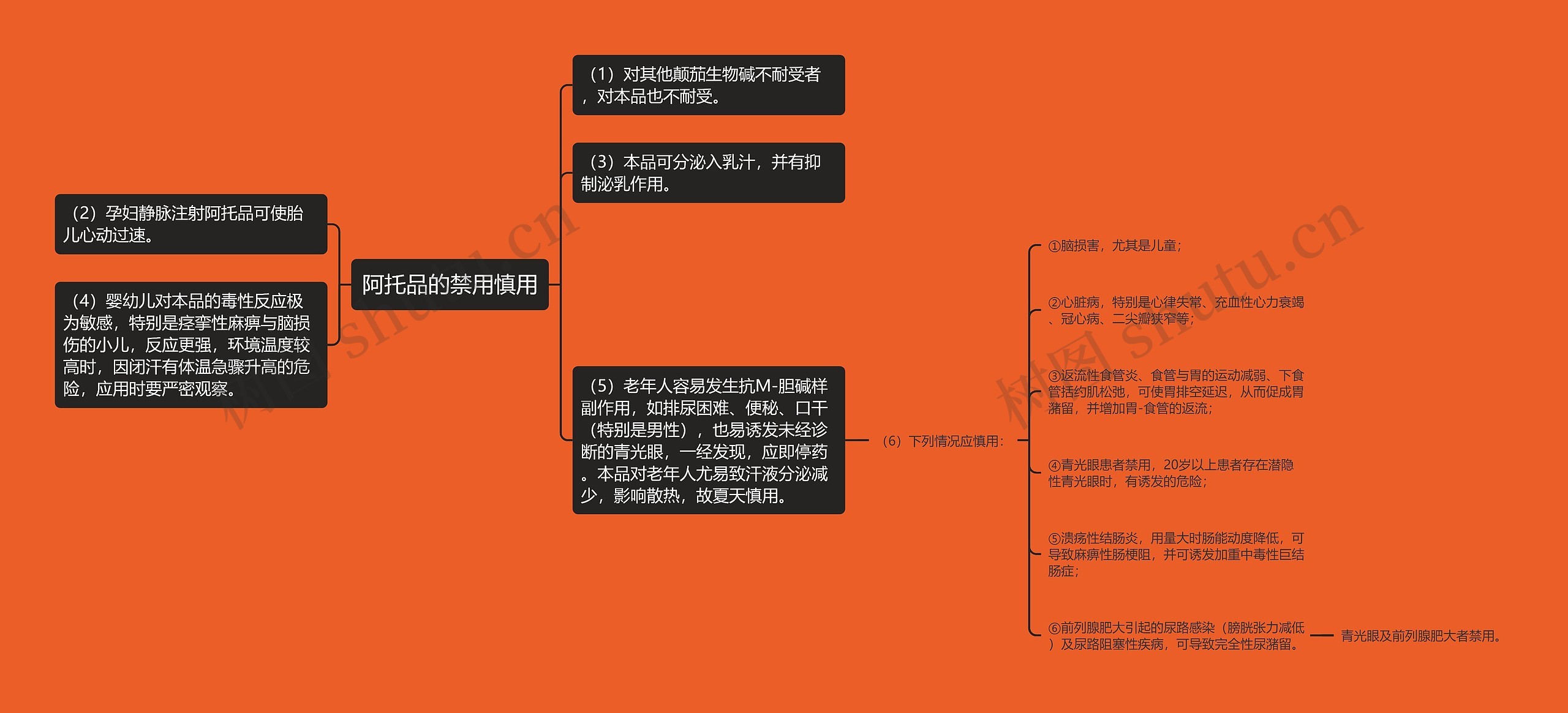 阿托品的禁用慎用思维导图