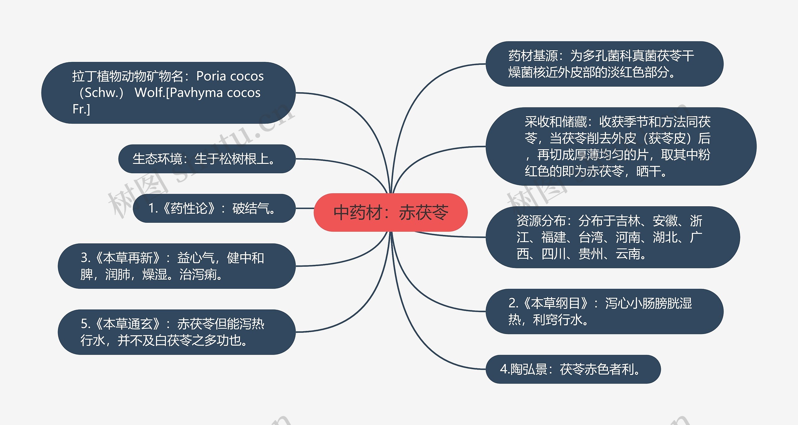 中药材：赤茯苓思维导图