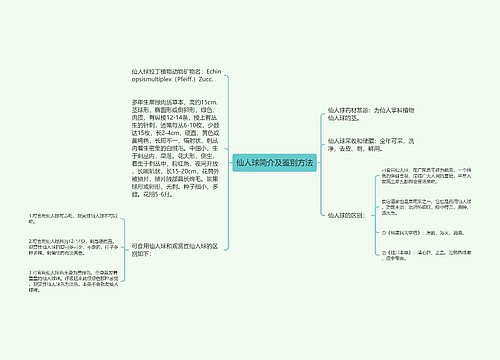 仙人球简介及鉴别方法