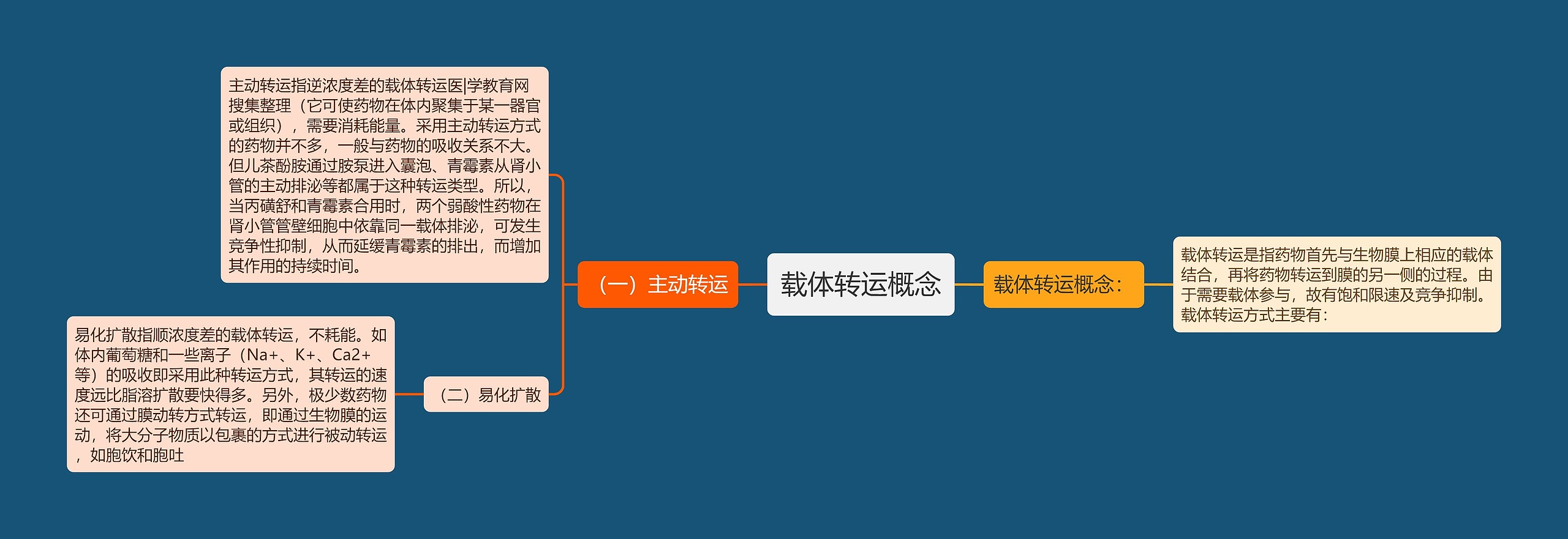 载体转运概念思维导图