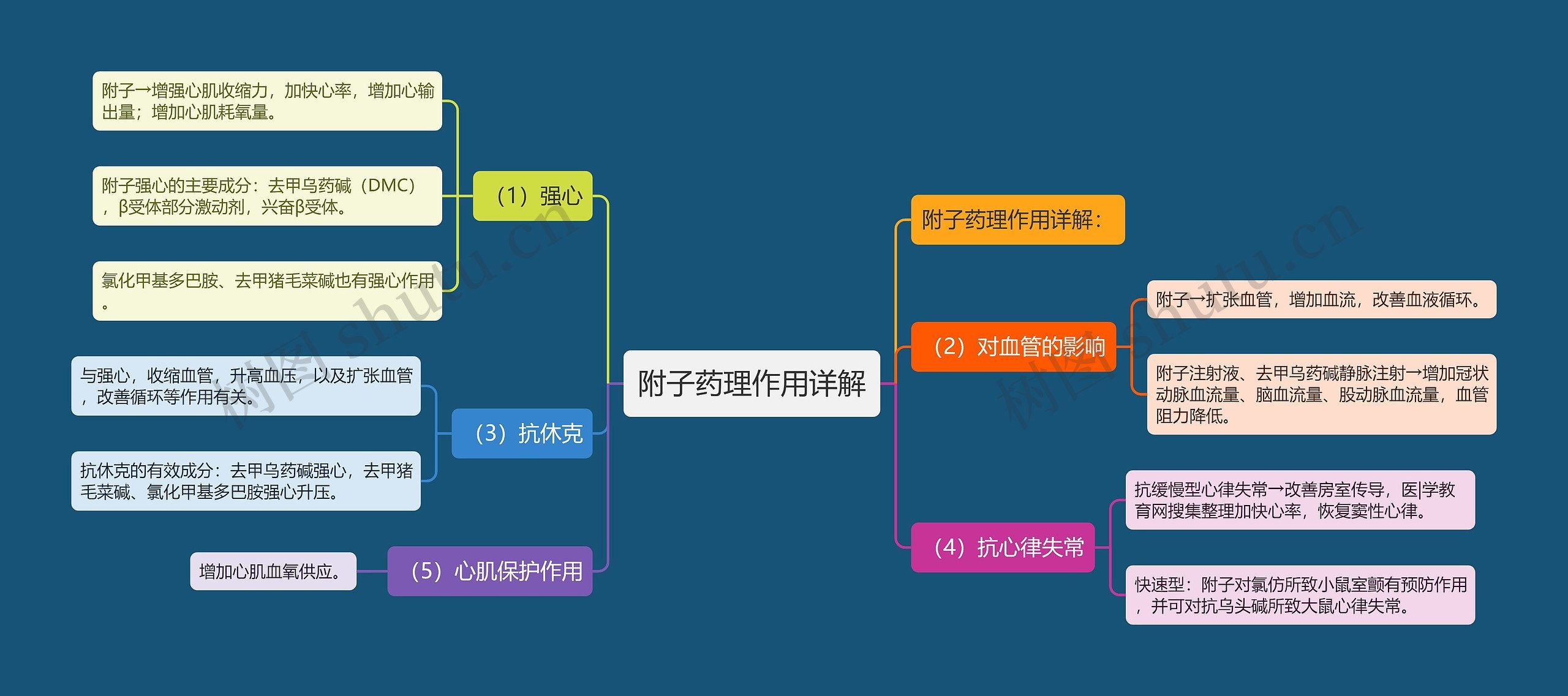 附子药理作用详解思维导图