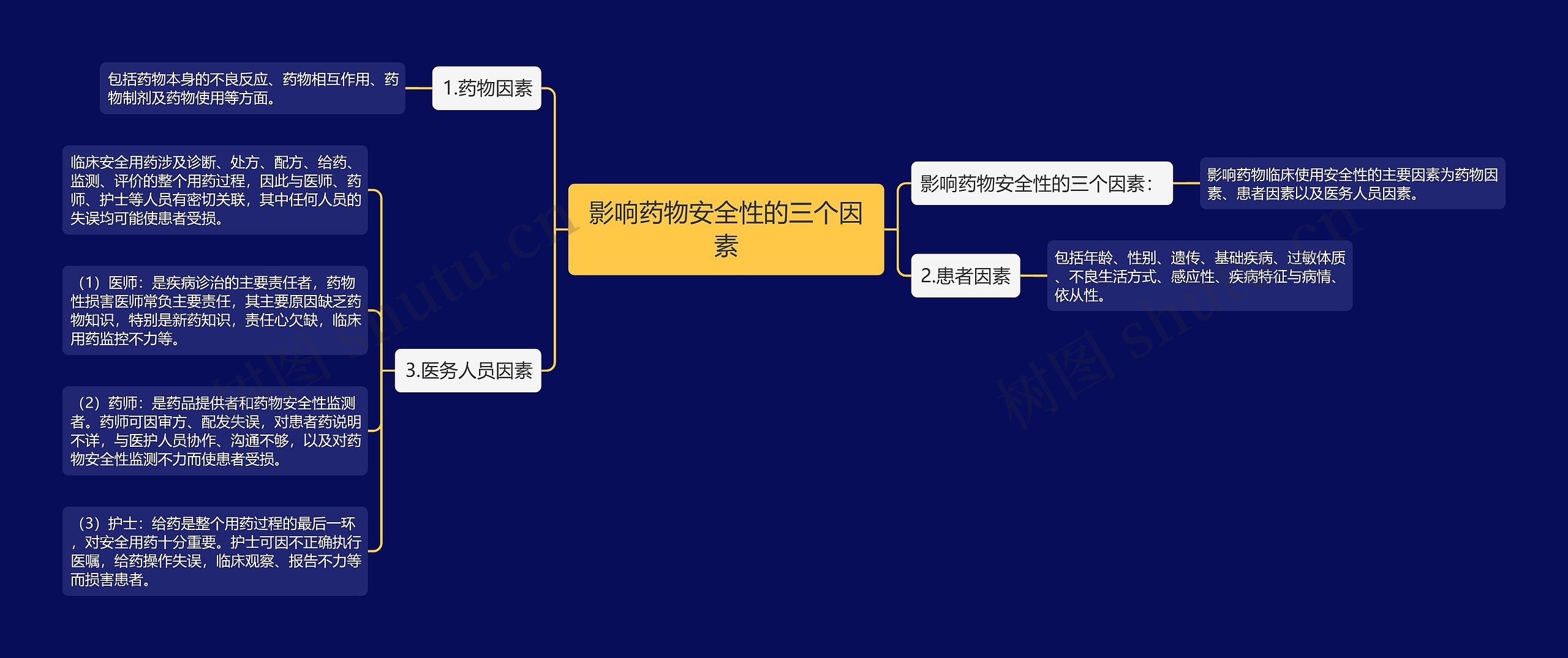 影响药物安全性的三个因素思维导图