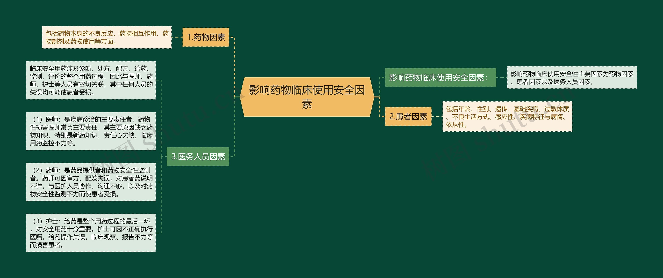 影响药物临床使用安全因素思维导图