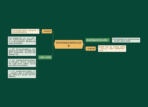 影响药物临床使用安全因素