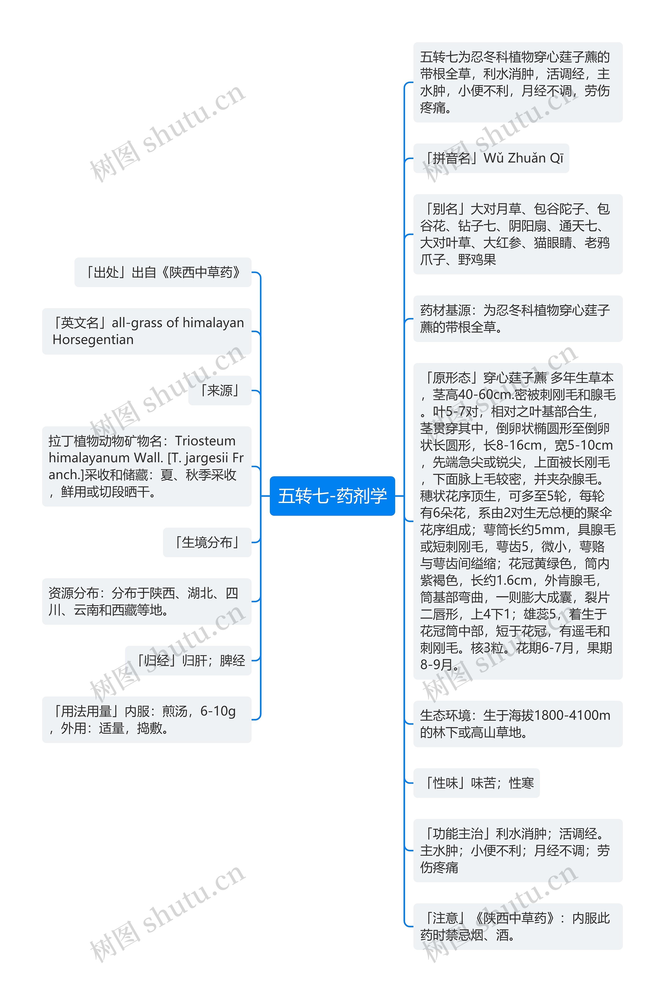 五转七-药剂学思维导图