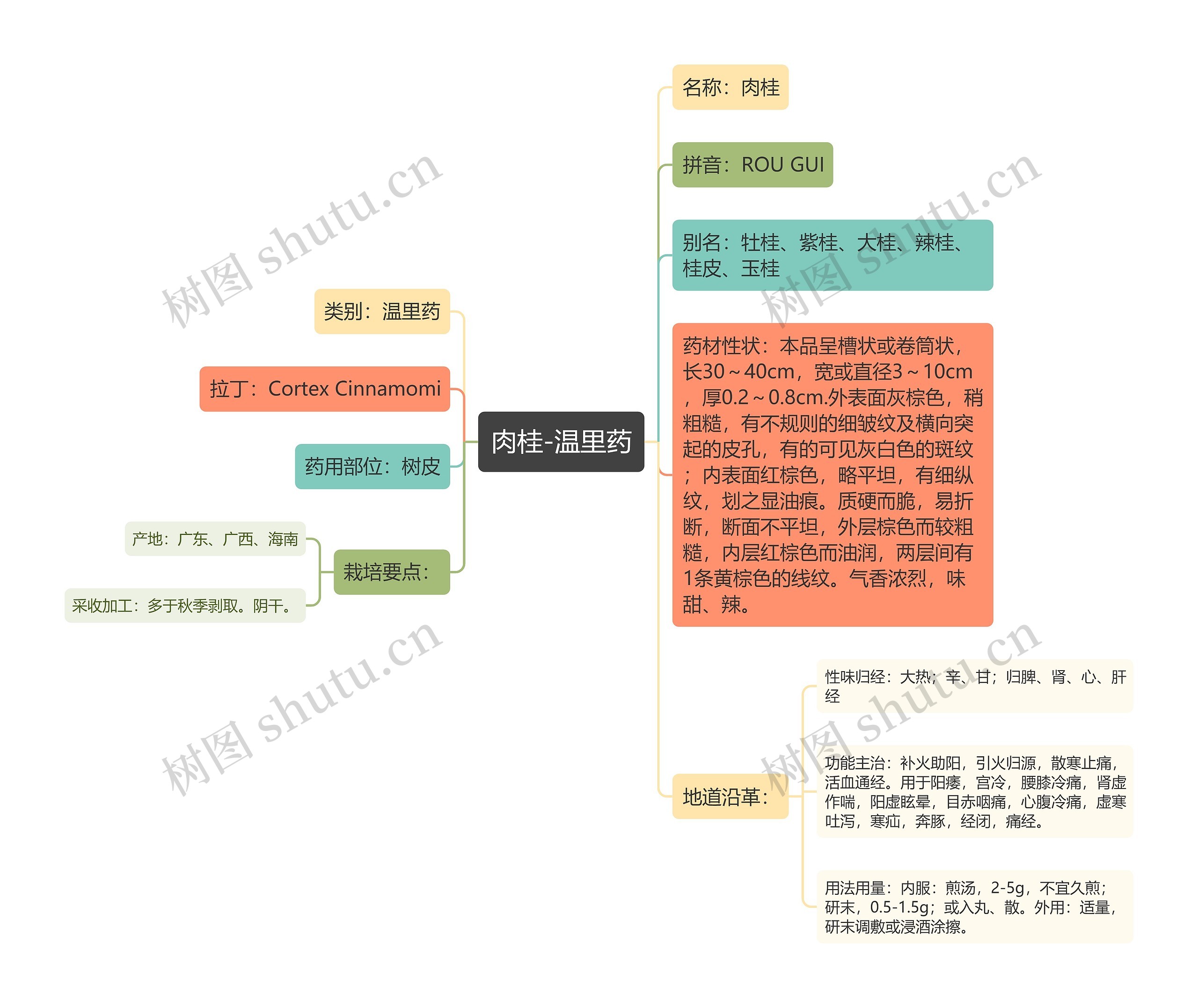 肉桂-温里药思维导图
