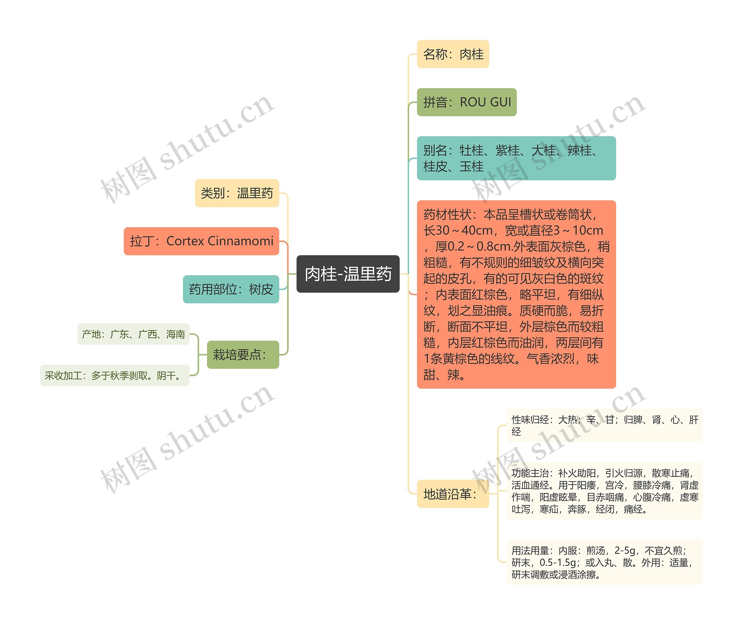 肉桂-温里药 肉桂-温里药