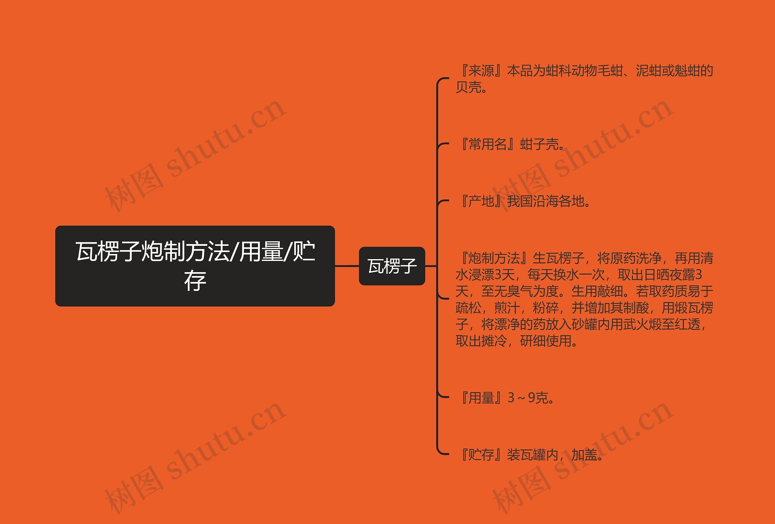 瓦楞子炮制方法/用量/贮存思维导图