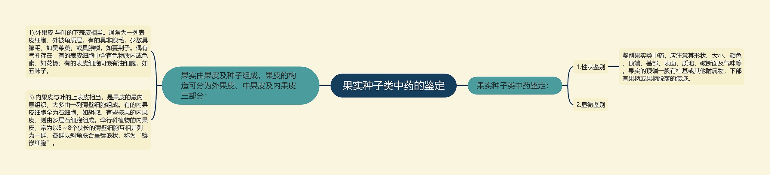 果实种子类中药的鉴定 果实种子类中药的鉴定
