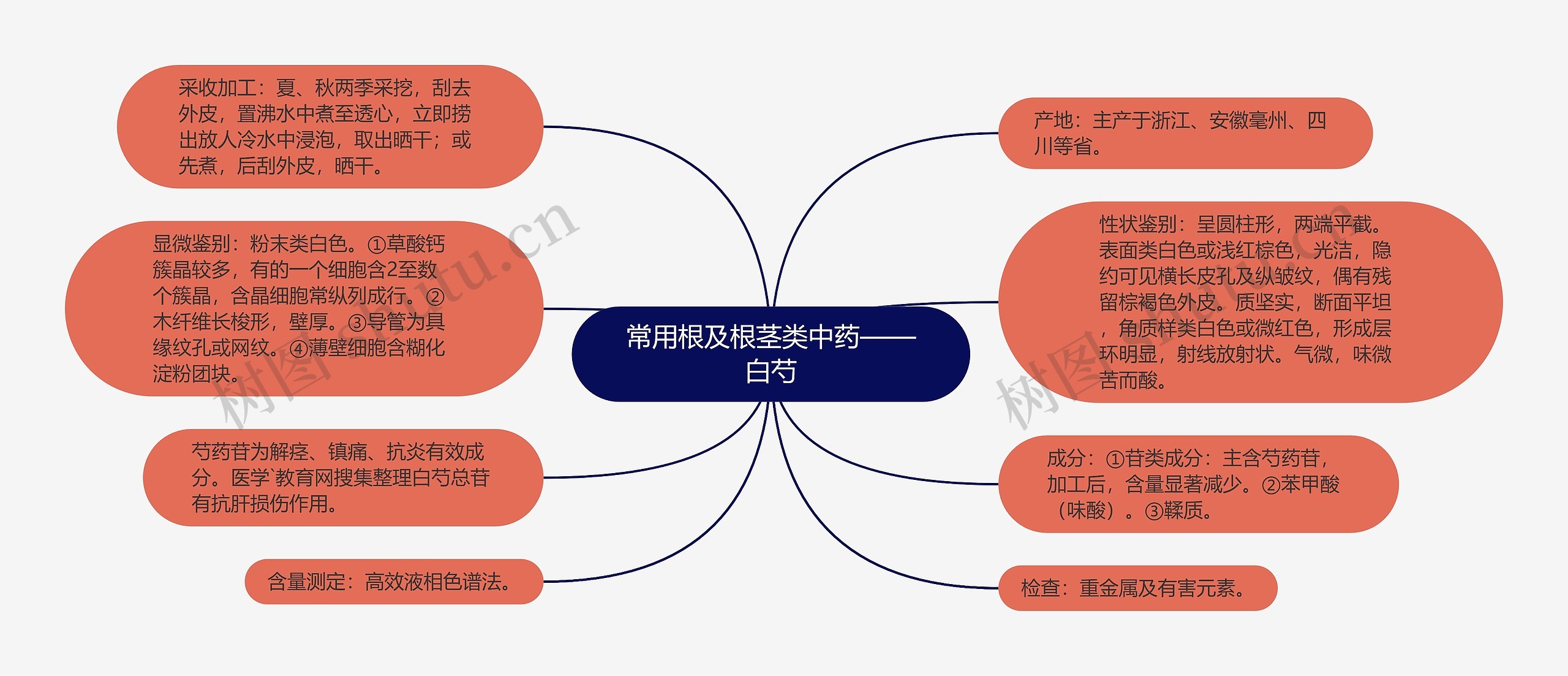 常用根及根茎类中药——白芍 常用根及根茎类中药——白芍