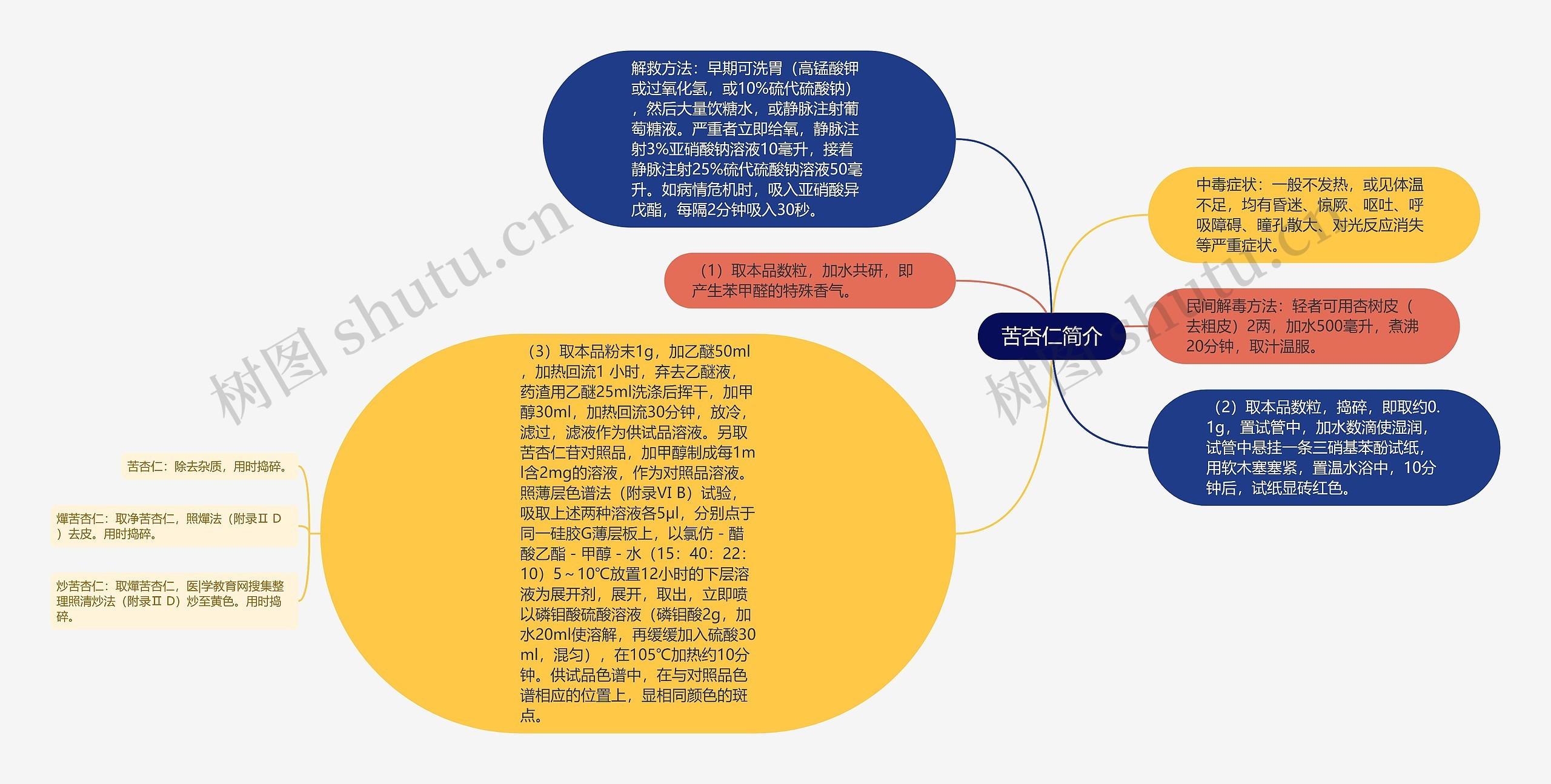 苦杏仁简介思维导图