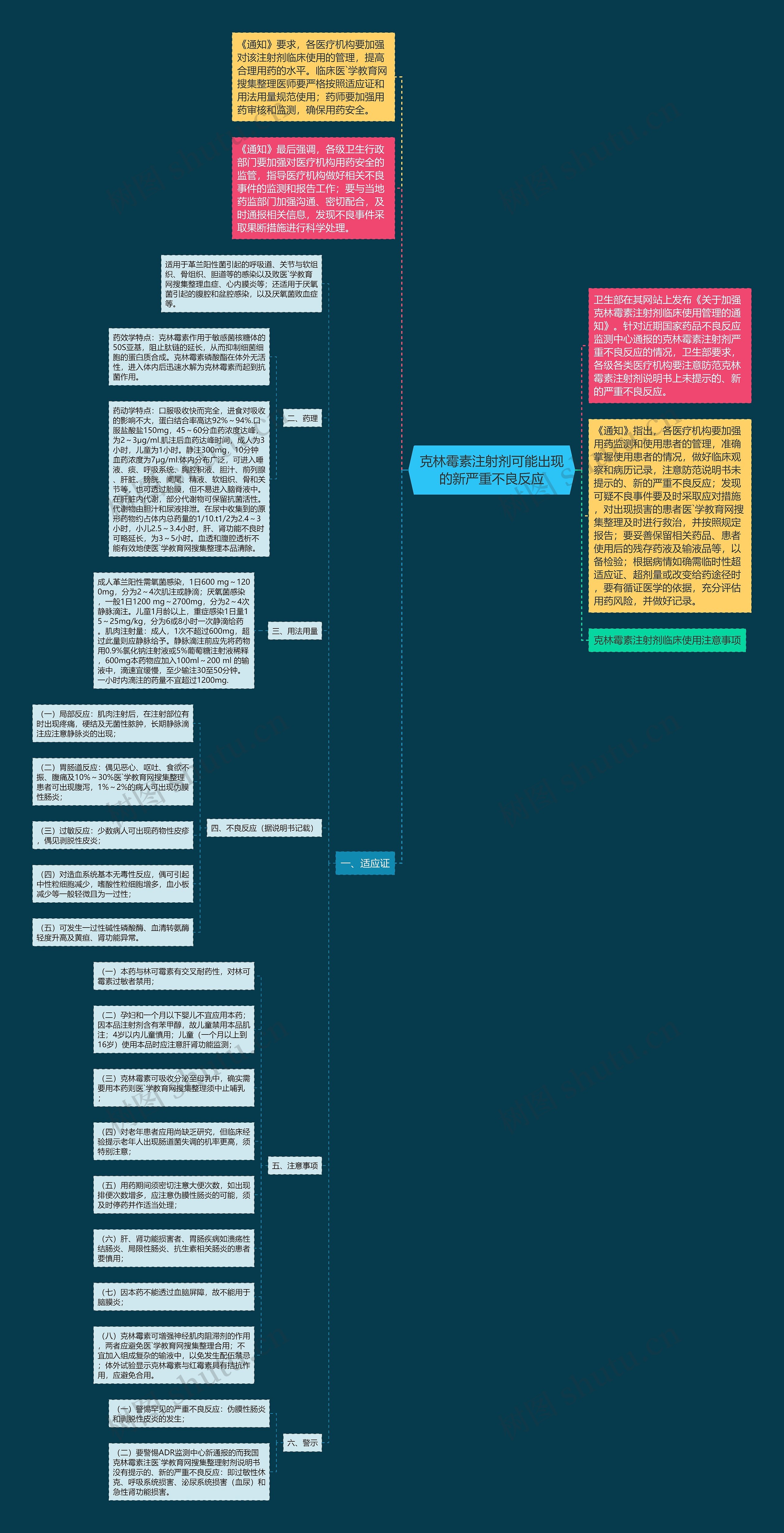 克林霉素注射剂可能出现的新严重不良反应思维导图