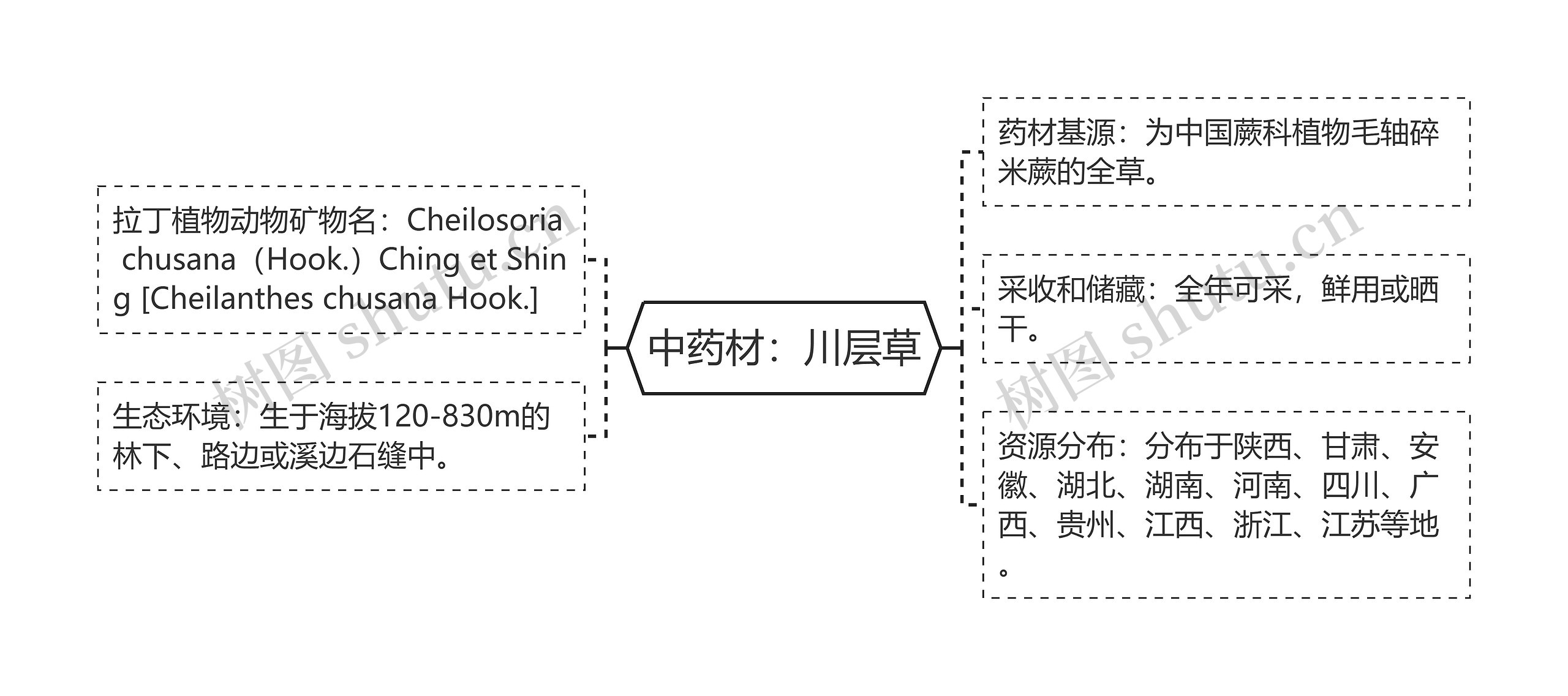 中药材：川层草思维导图