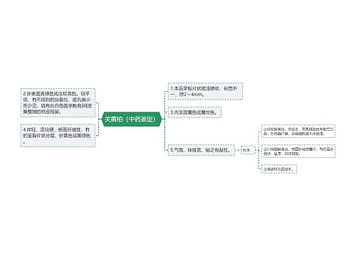 关黄柏（中药鉴定）